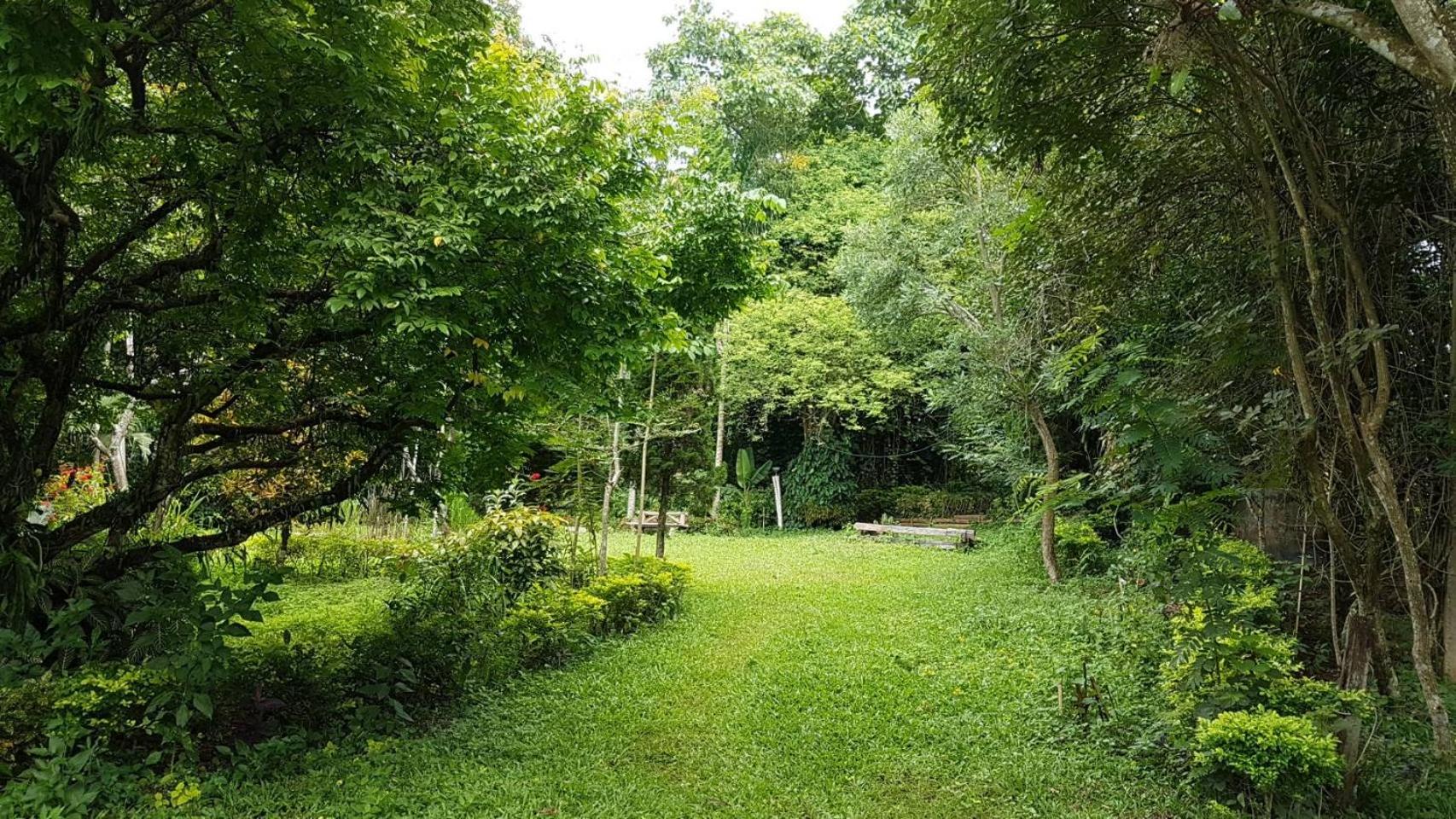 Aum Hum Homestay