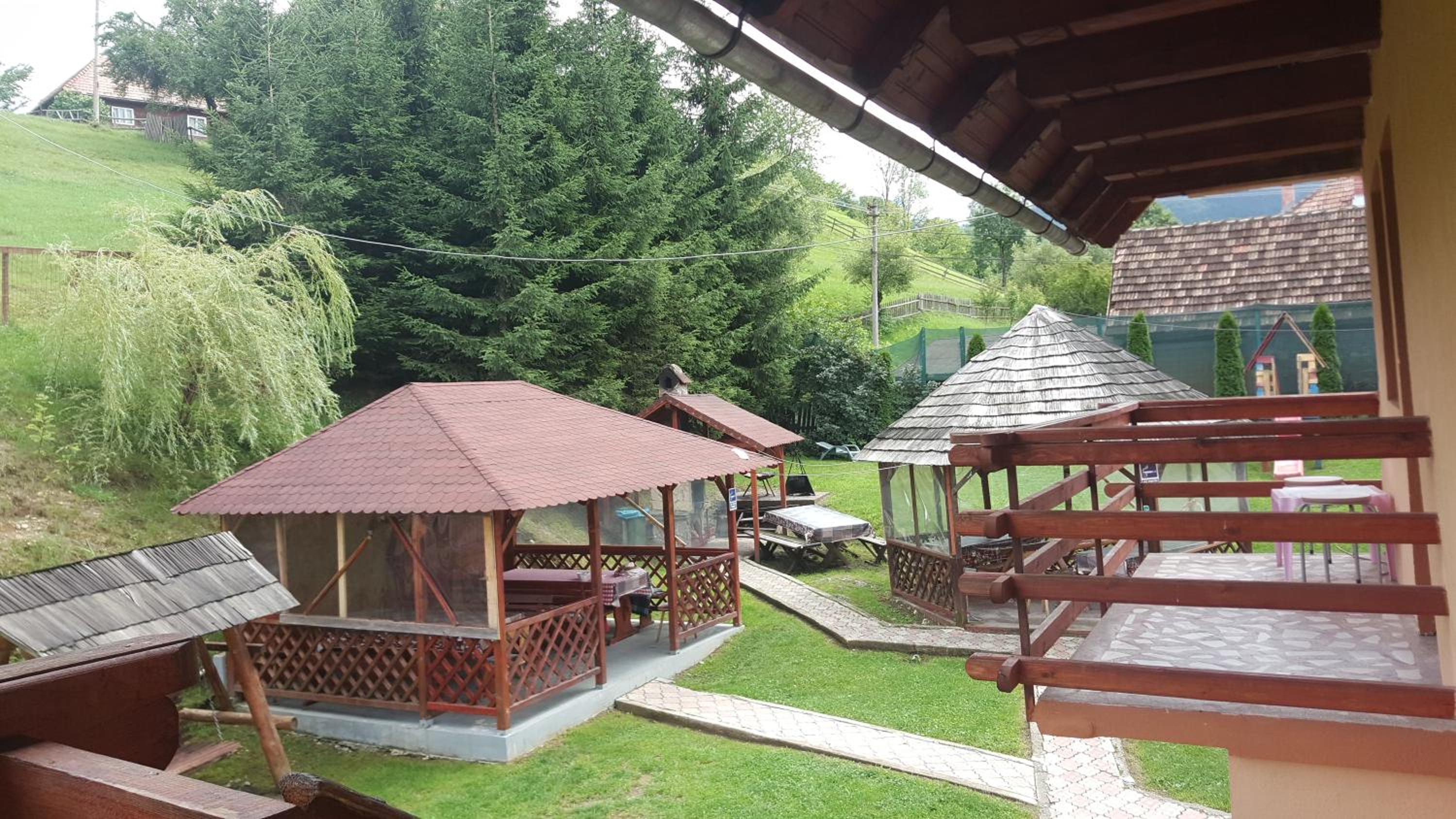 Photo 11