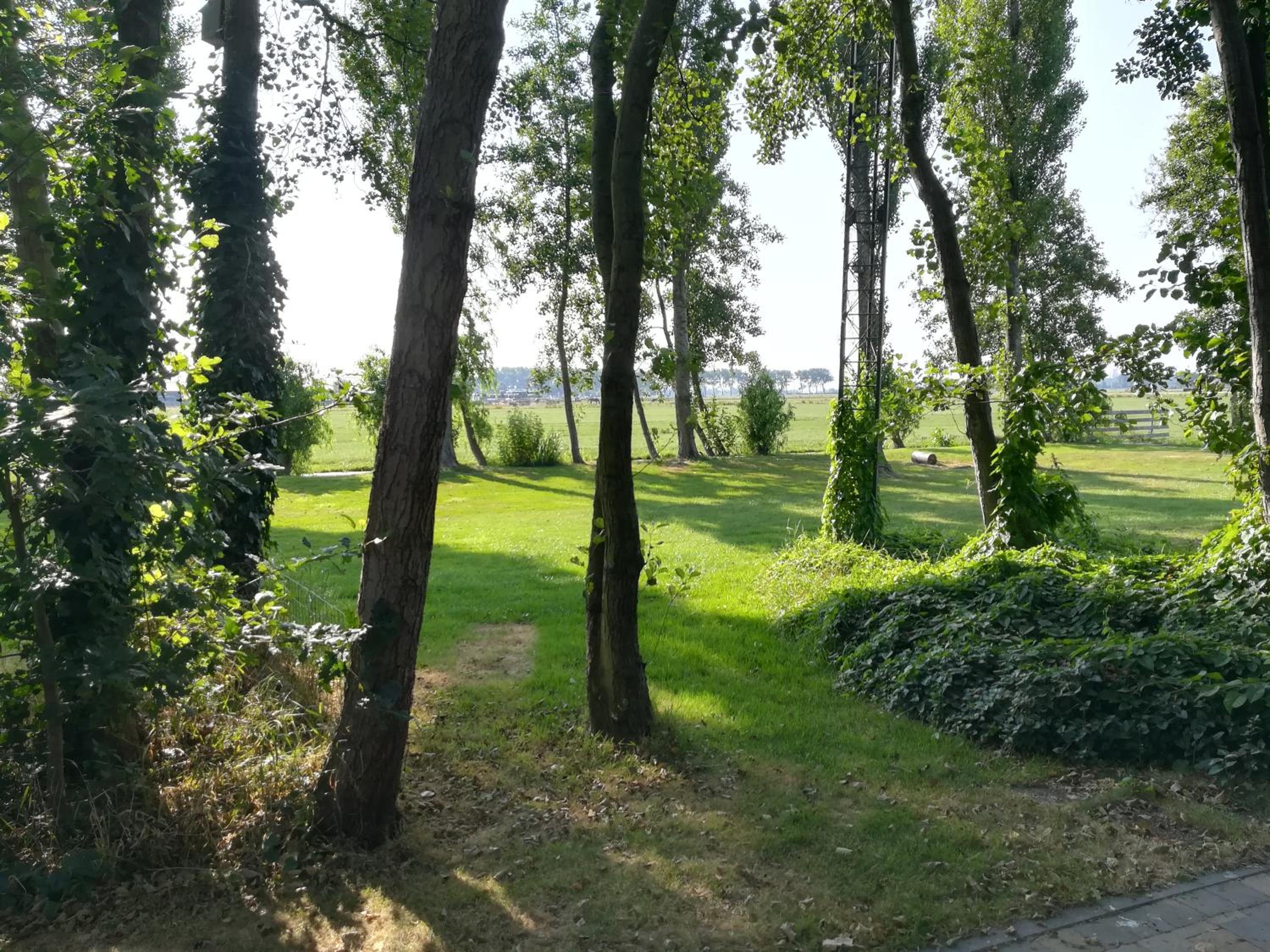 Appartement De Molshoop view 4