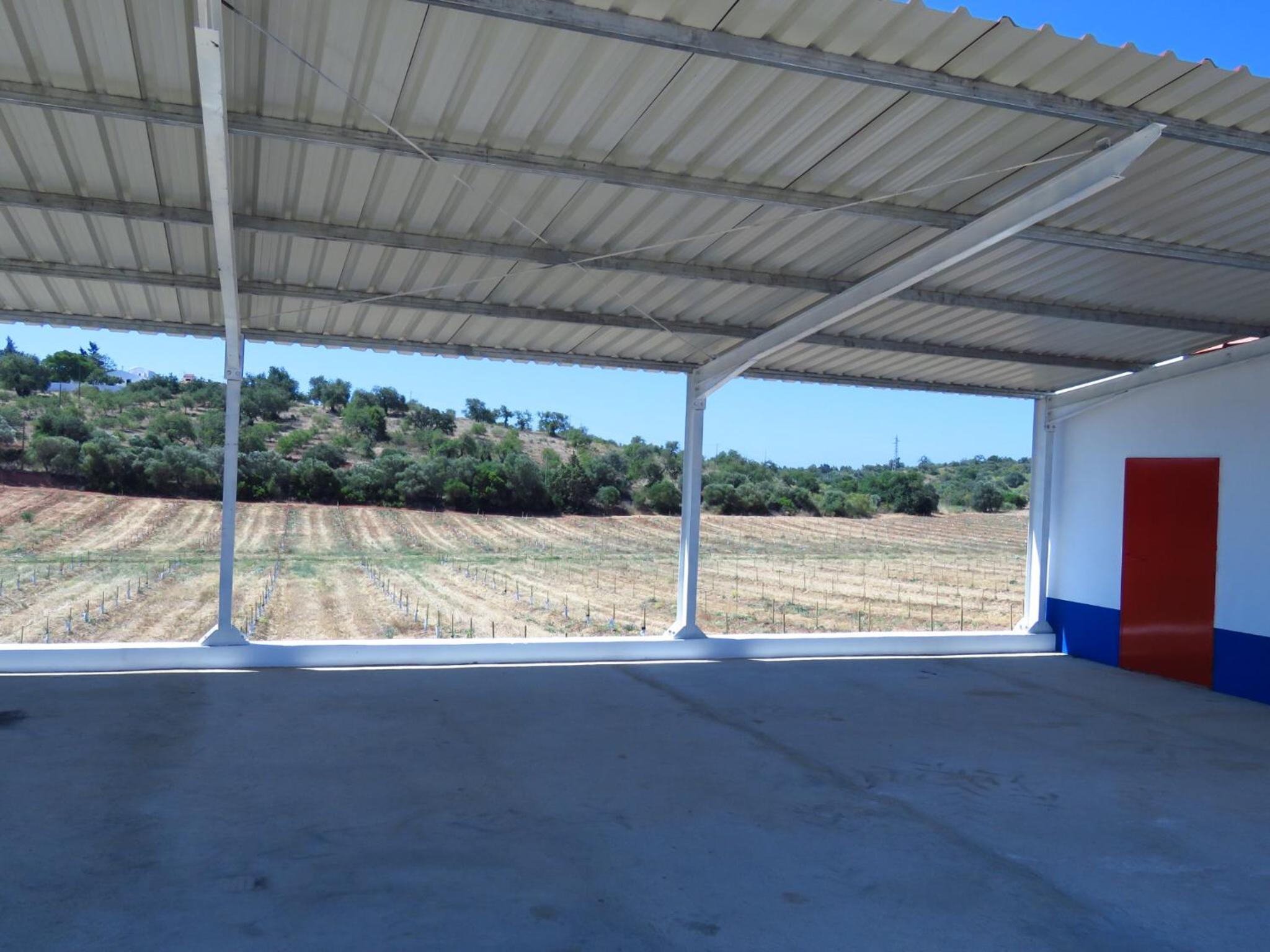 Vale do Boto-Quinta com 3 casas view 4