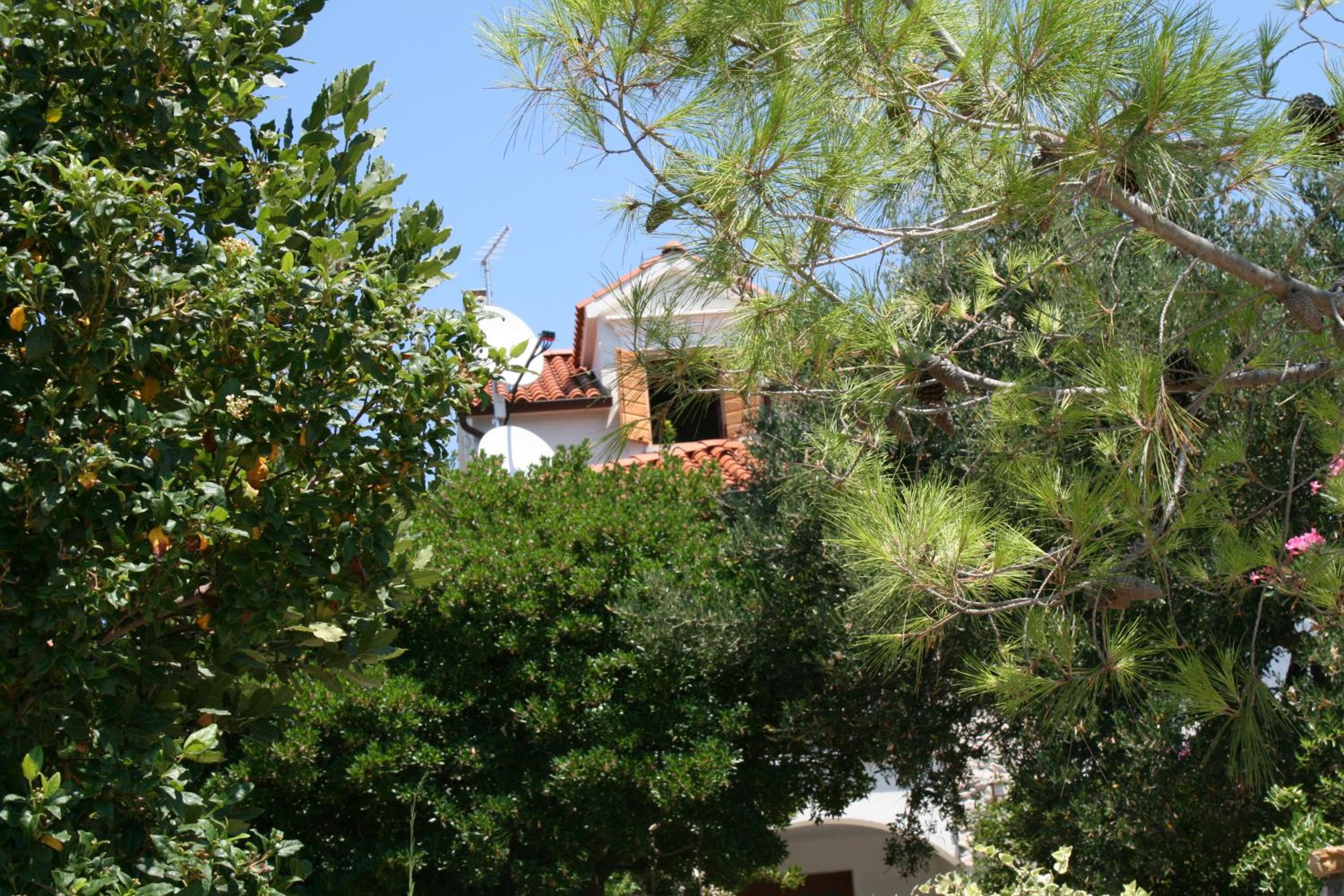 Photo 42