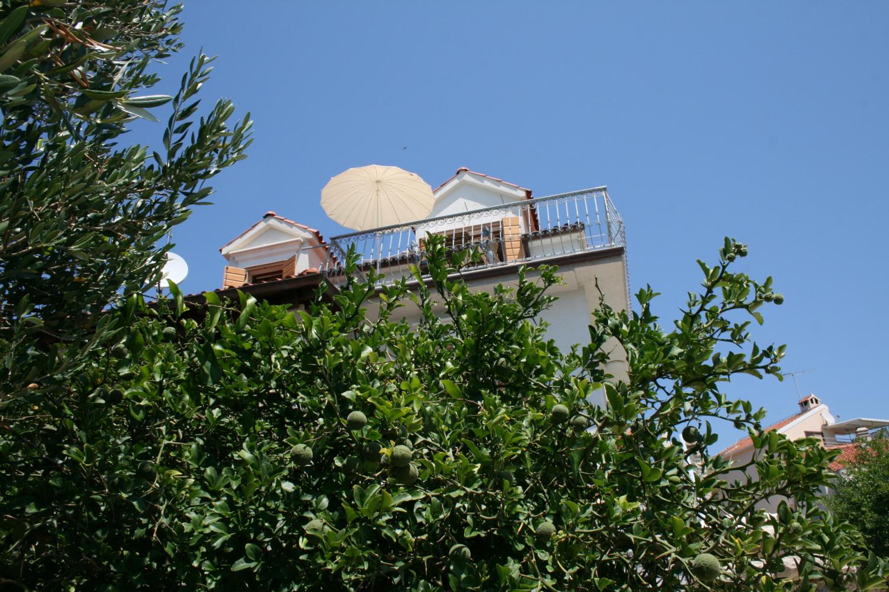Photo 46