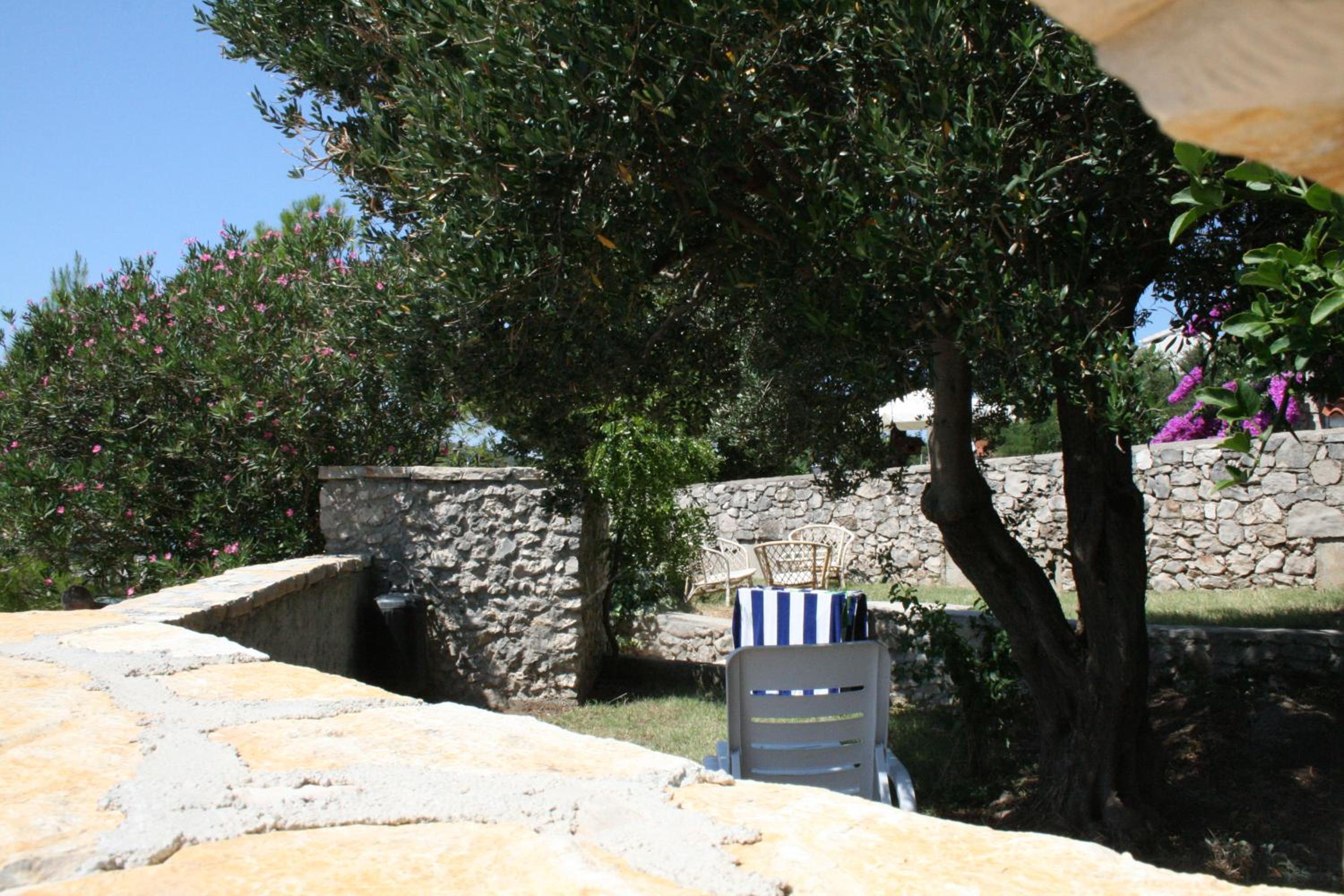 Photo 49