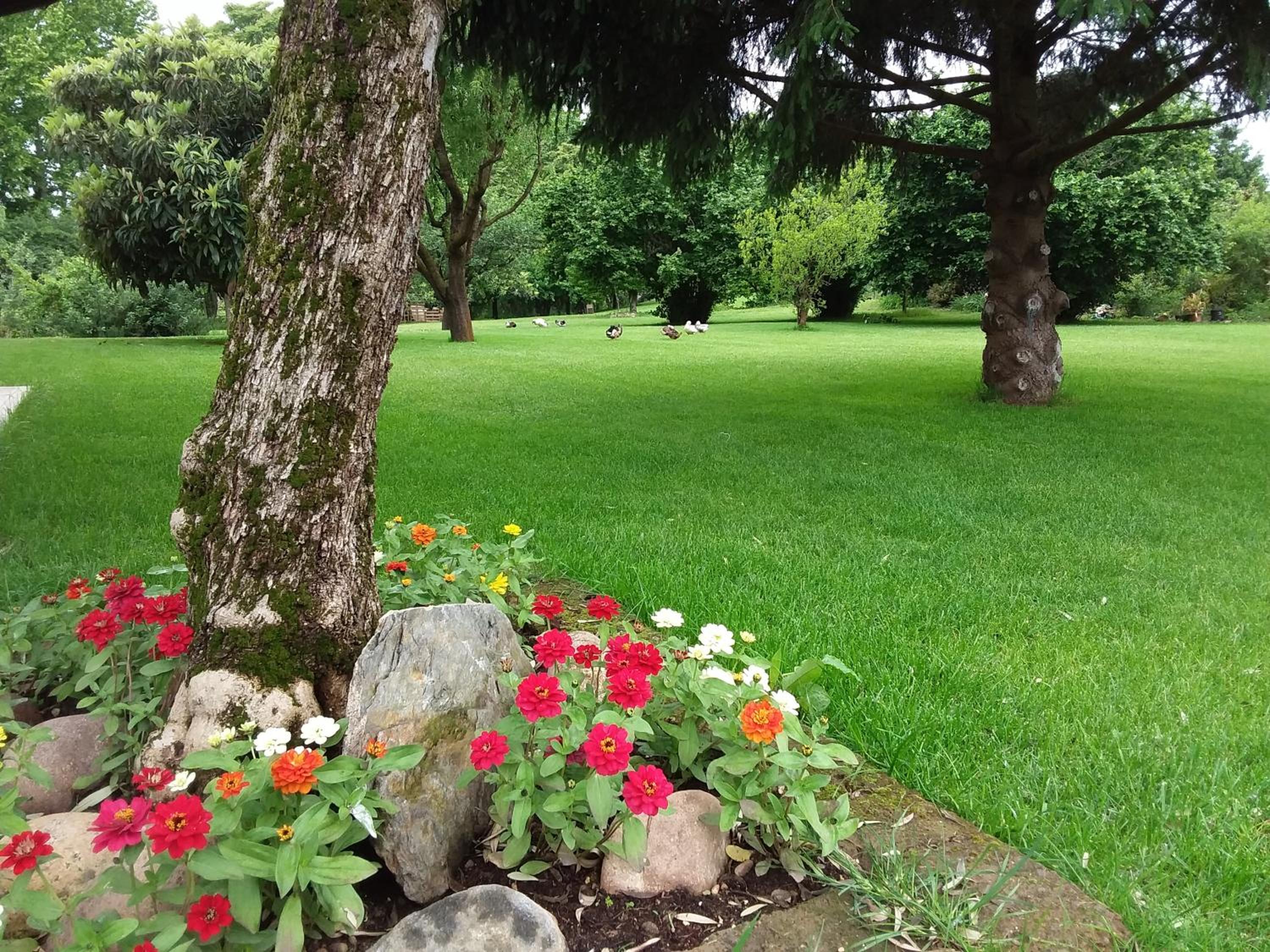 Photo 26