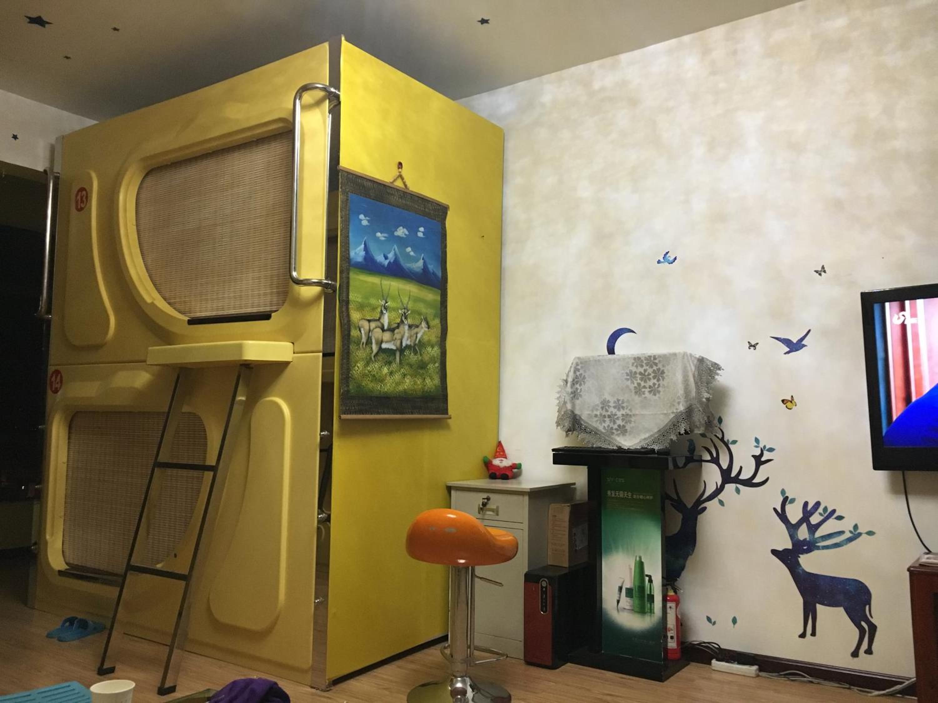 Photo 17