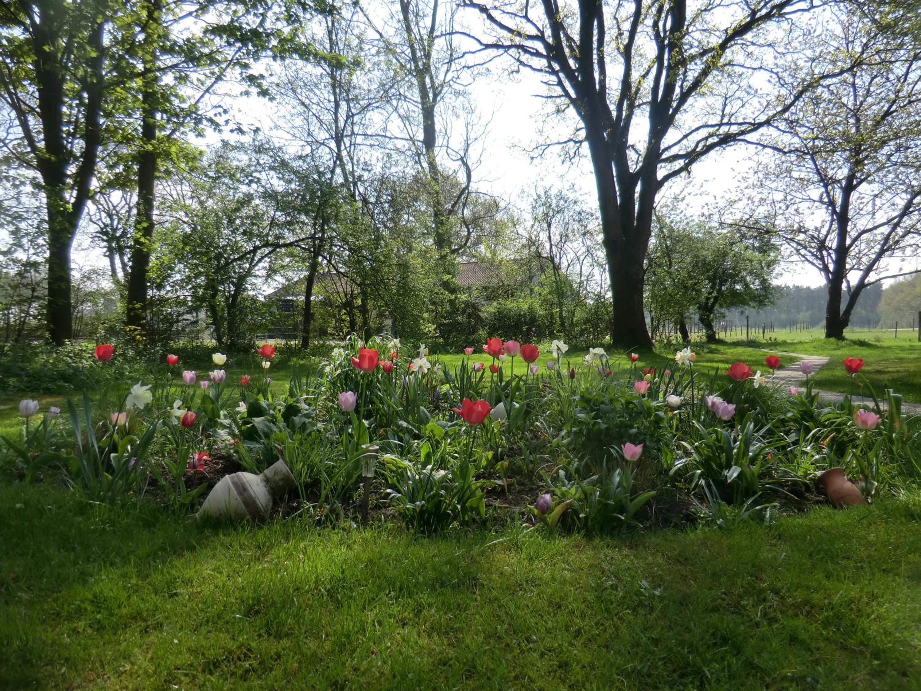 Photo 28