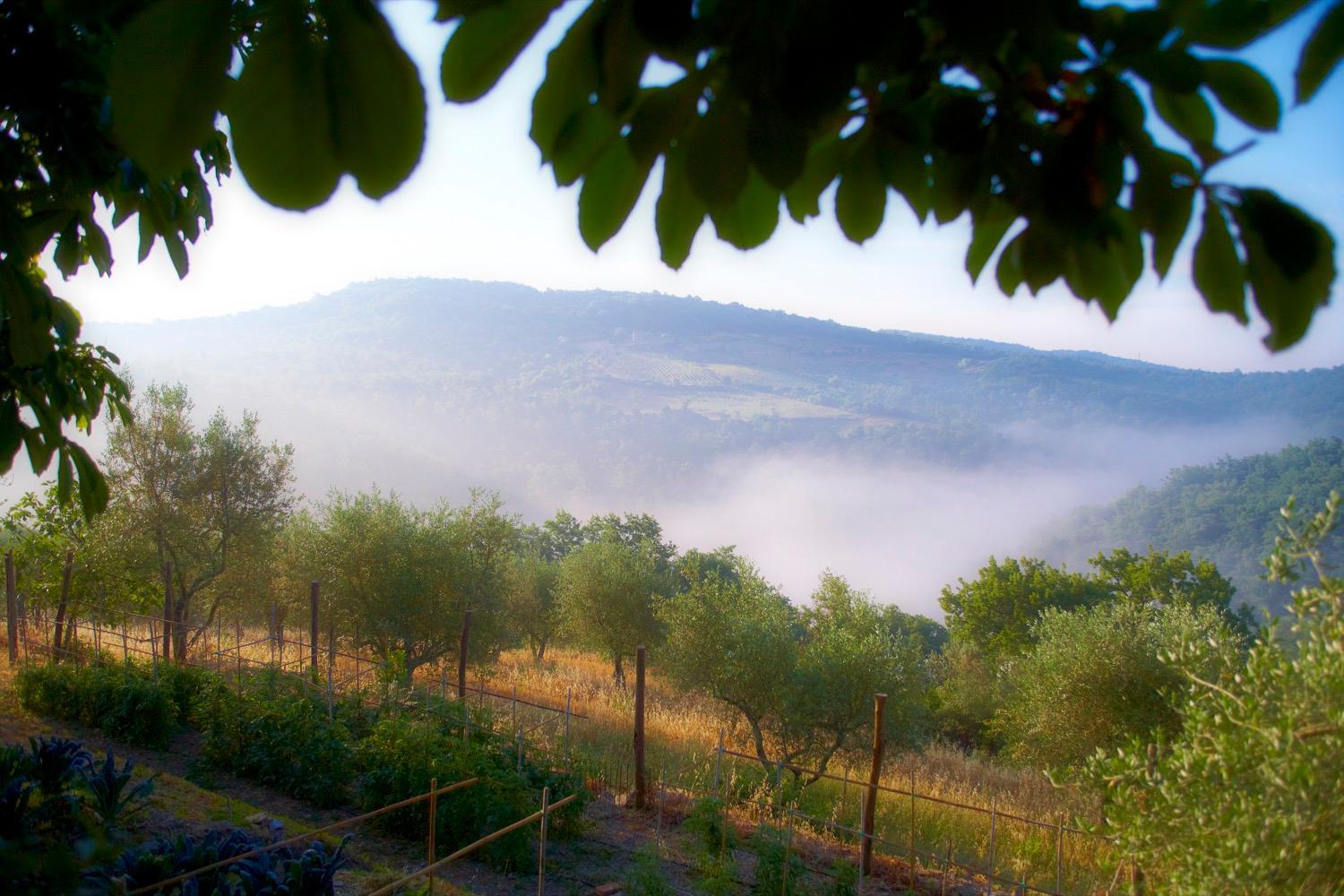 Tregole