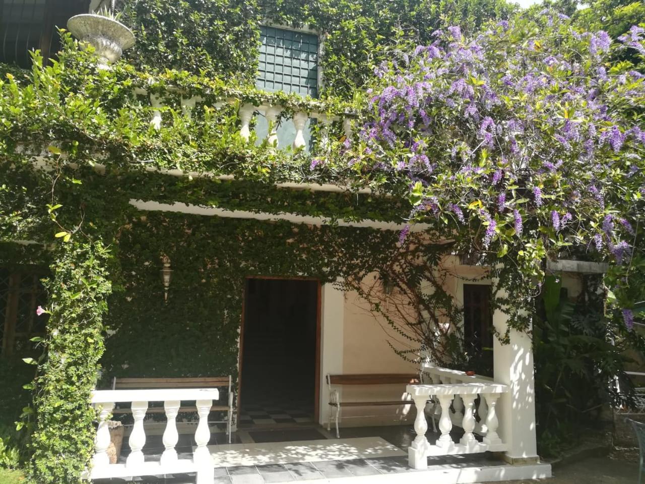 Villa Carolina Bed and Breakfast