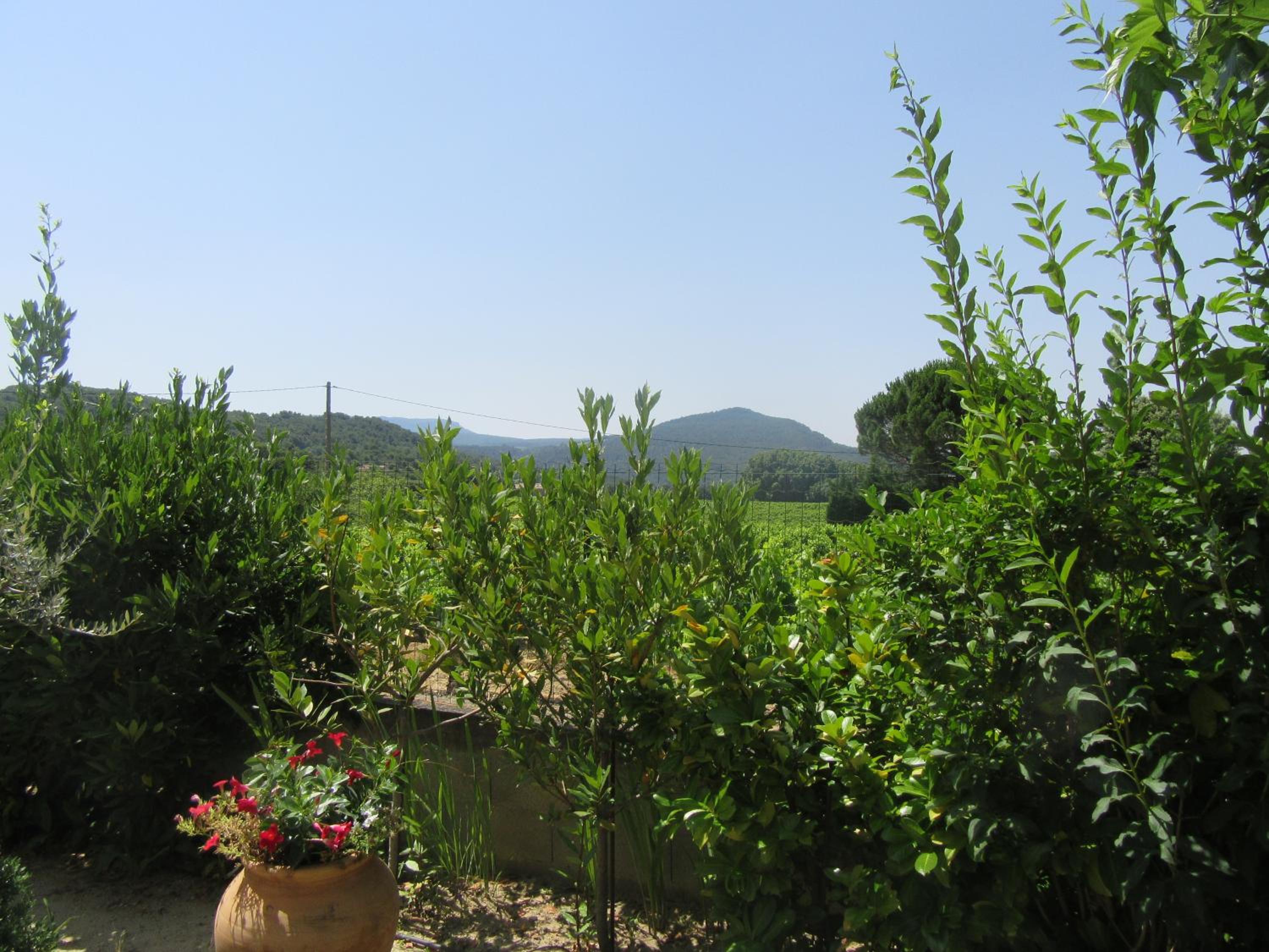 Le Grand Barsan view 5