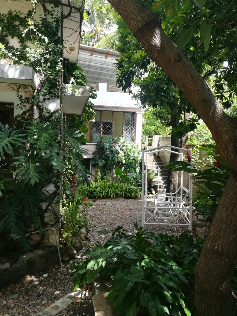Villa Carolina Bed and Breakfast