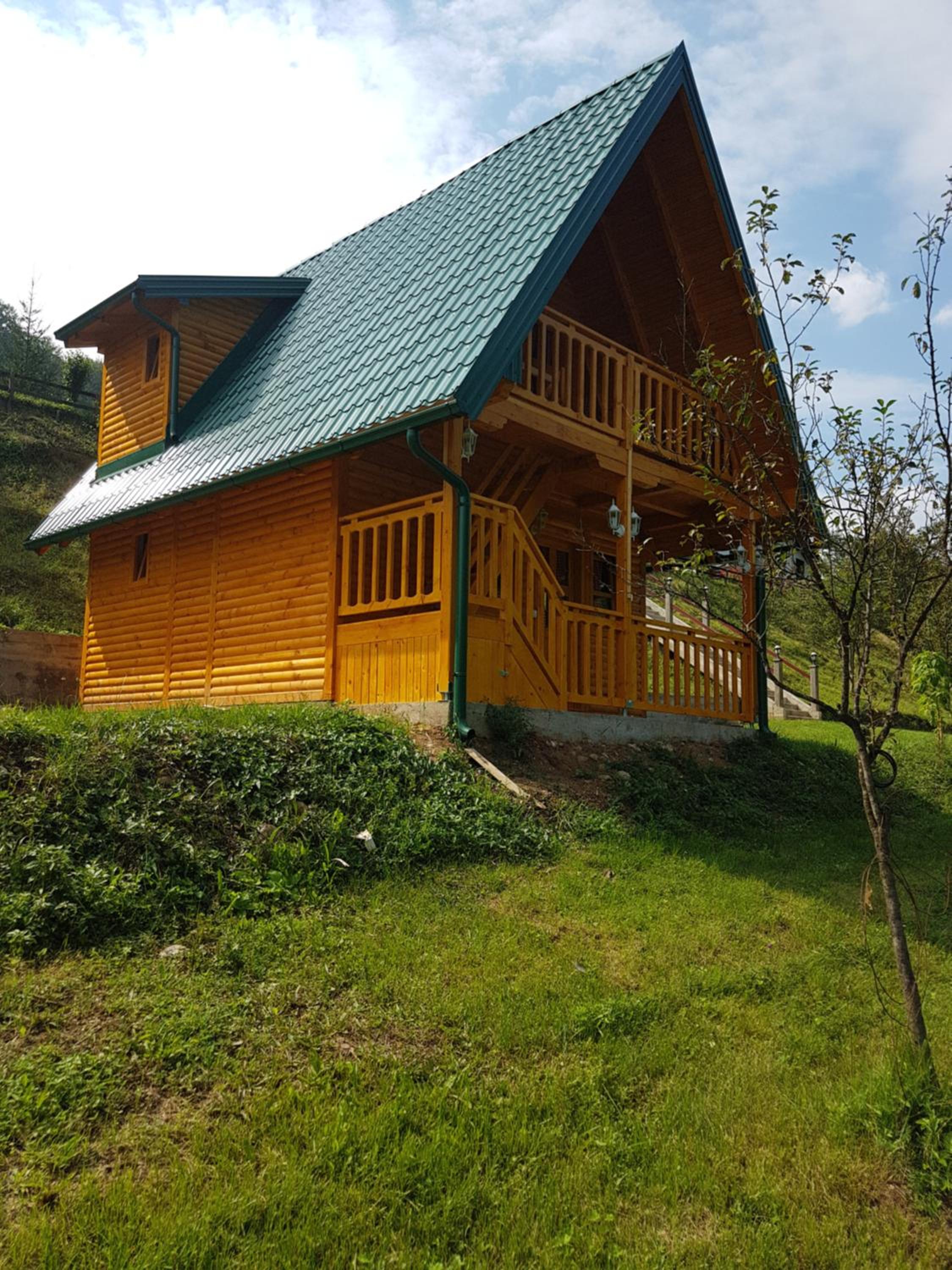 Photo 7