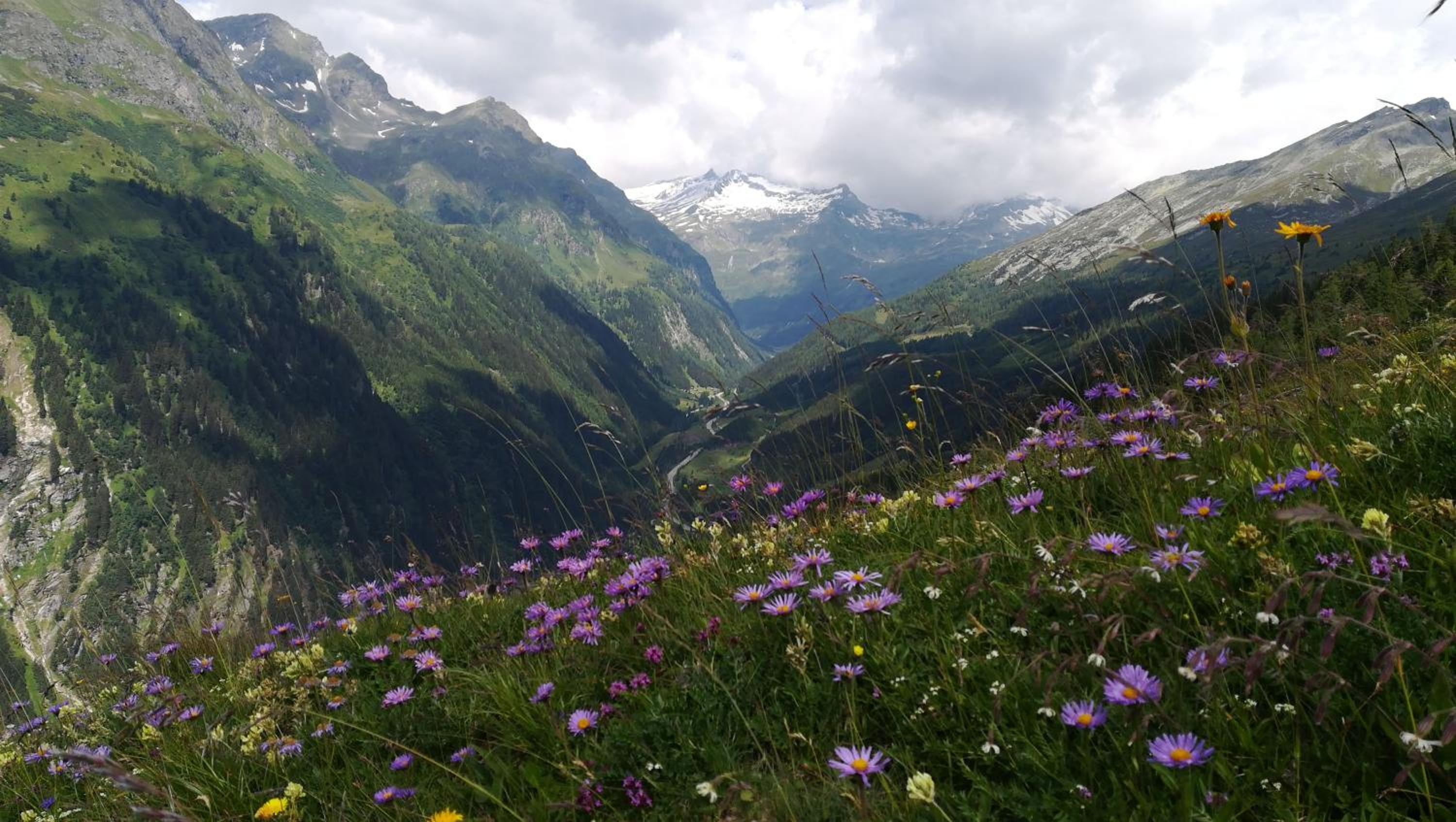 Simiterhof view 4
