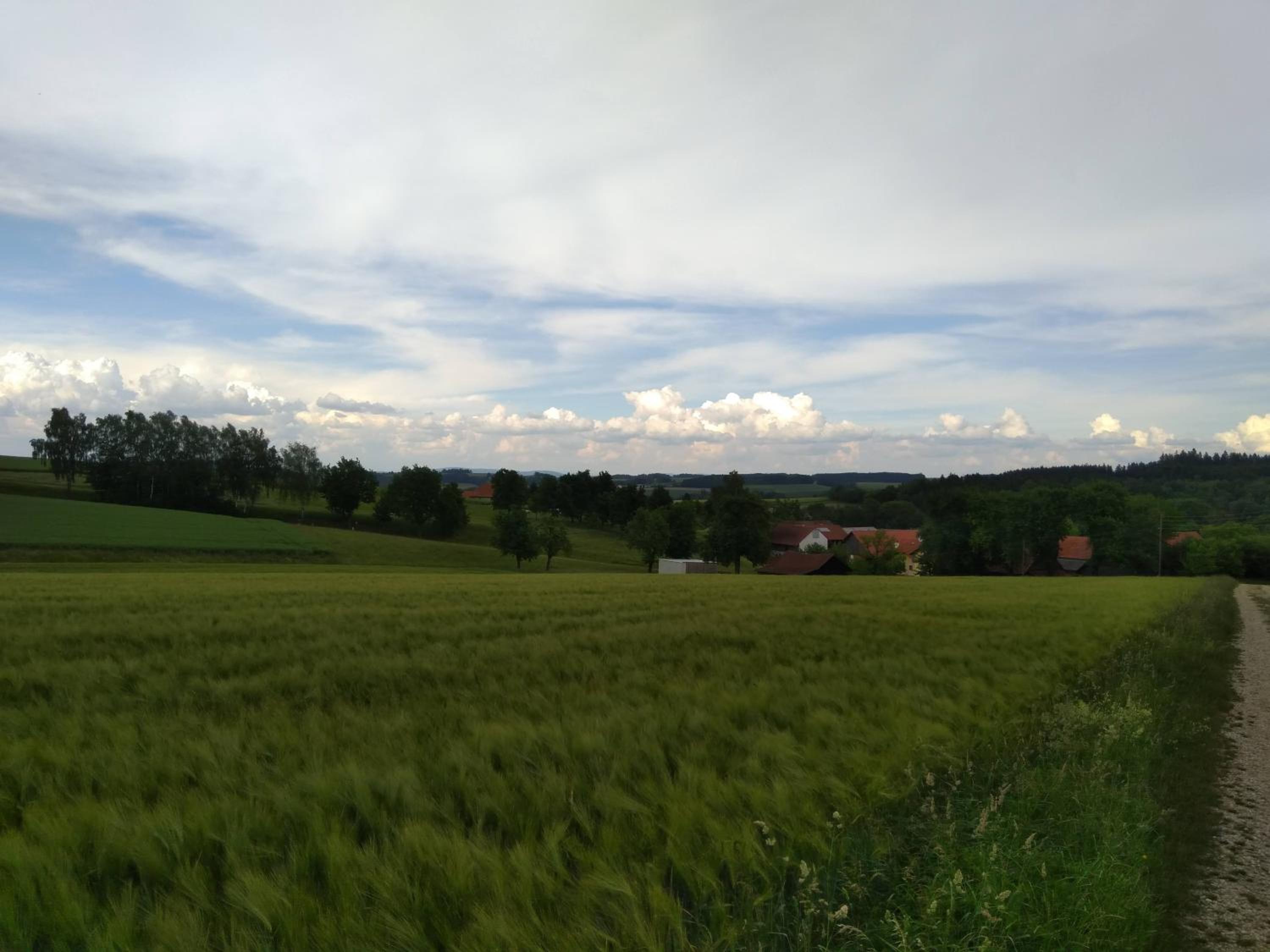 Gasthaus Schachinger view 5