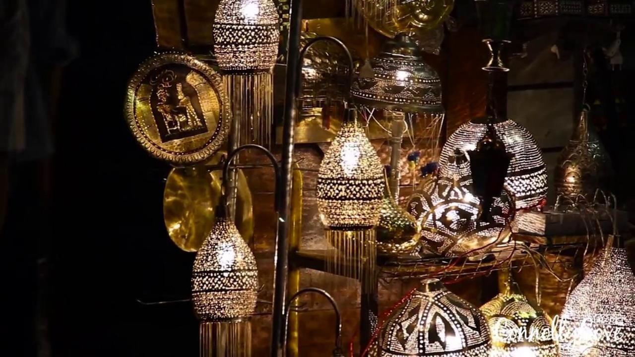 Luxury Pyramids Inn + Tours and Transportations
