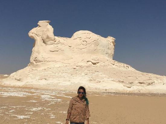 Luxury Pyramids Inn + Tours and Transportations