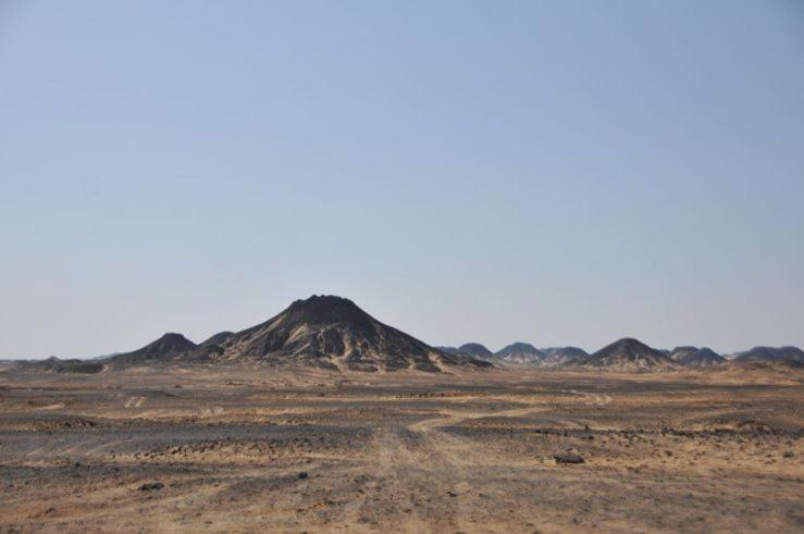 Luxury Pyramids Inn + Tours and Transportations