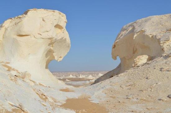 Luxury Pyramids Inn + Tours and Transportations