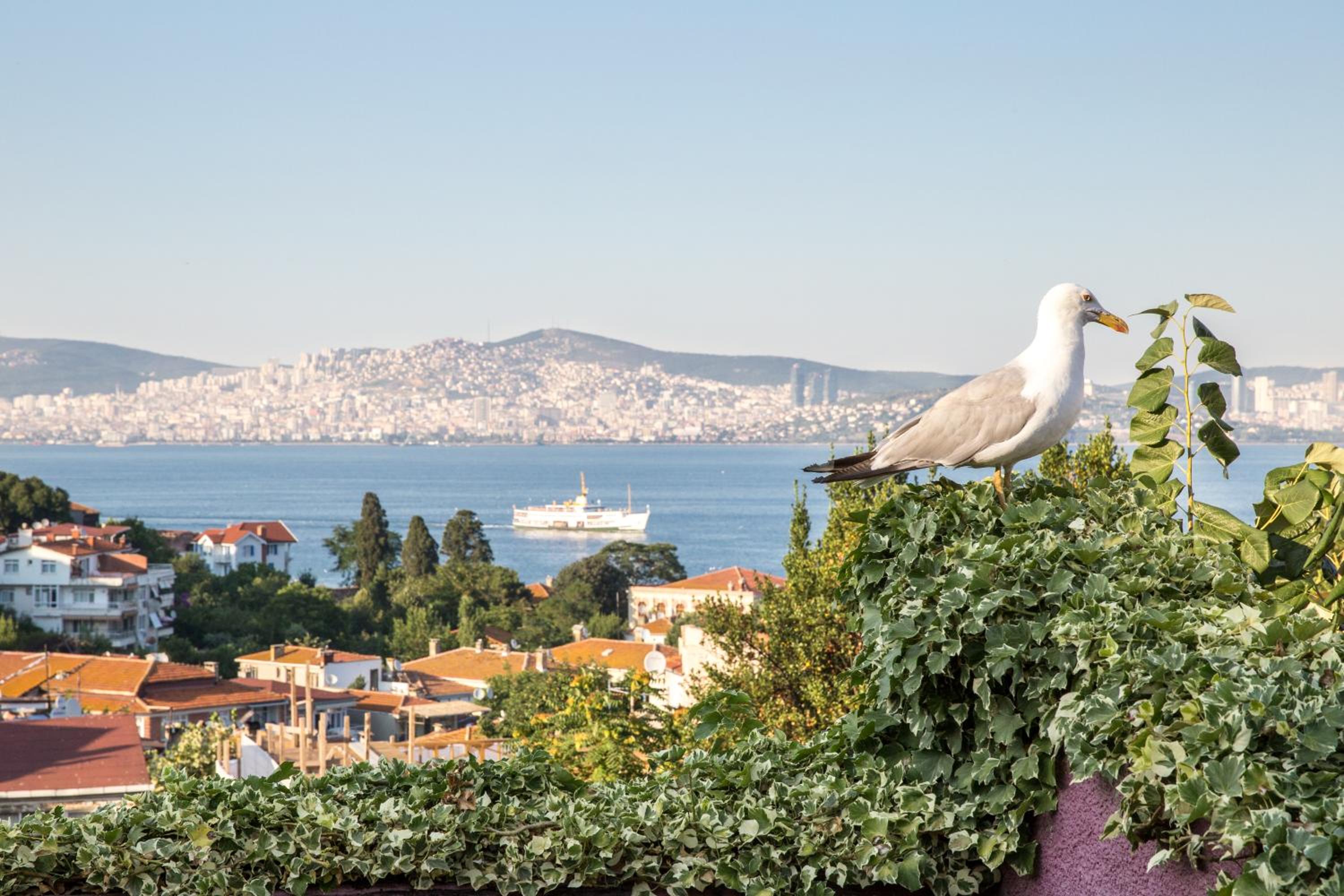 L'isola Guesthouse