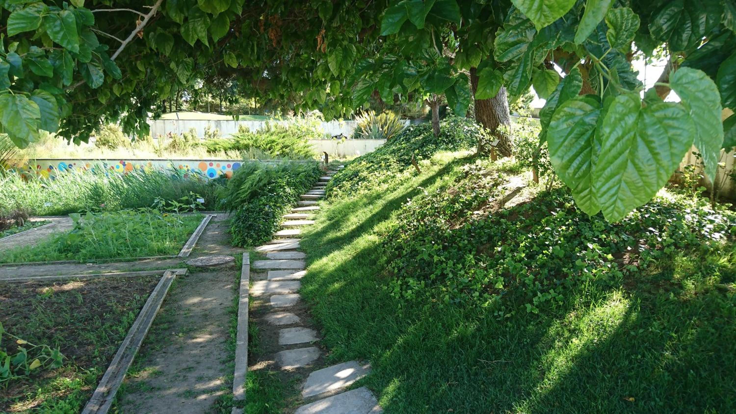 Photo 8