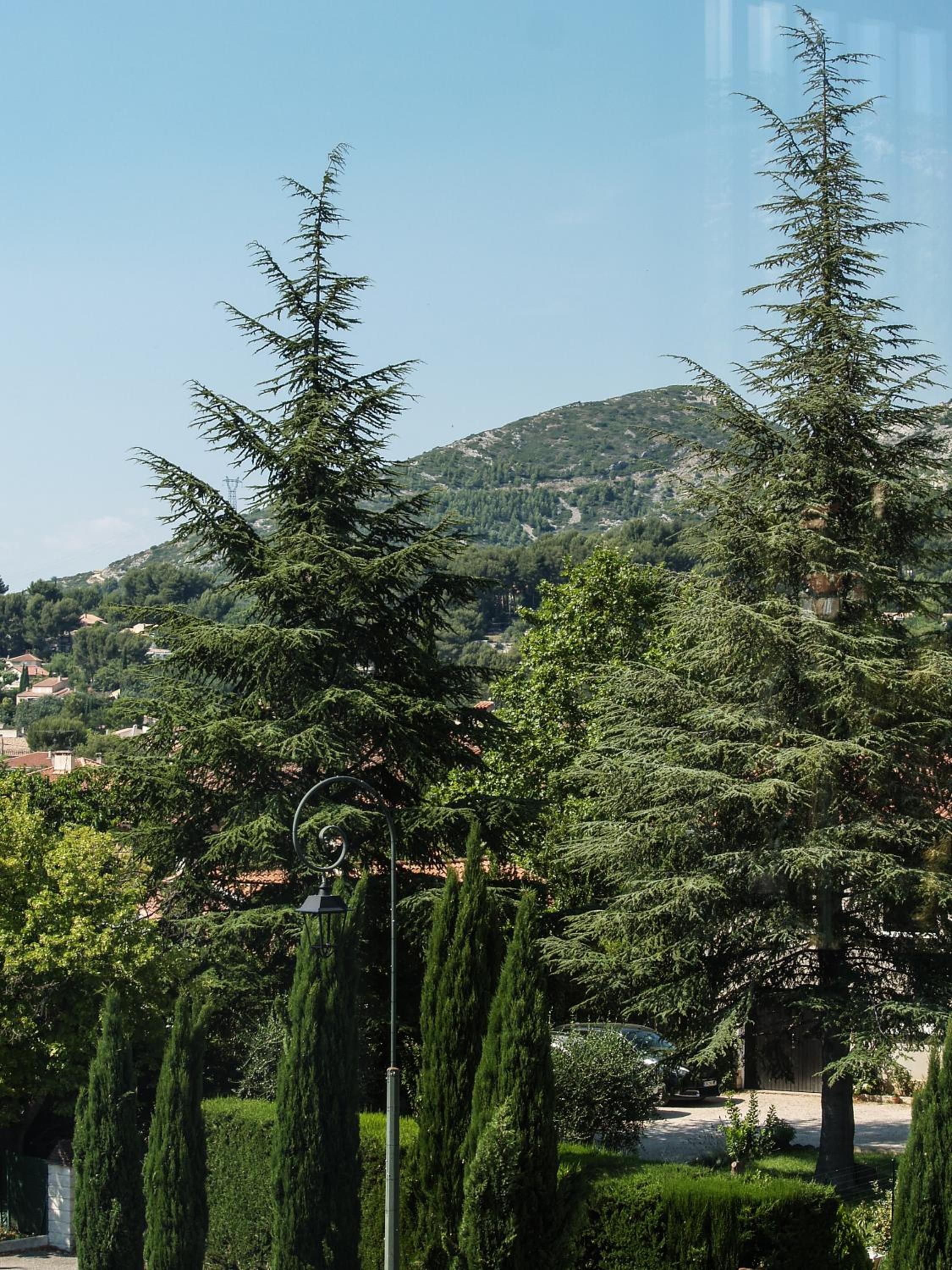 Villa St Ange, photo 7