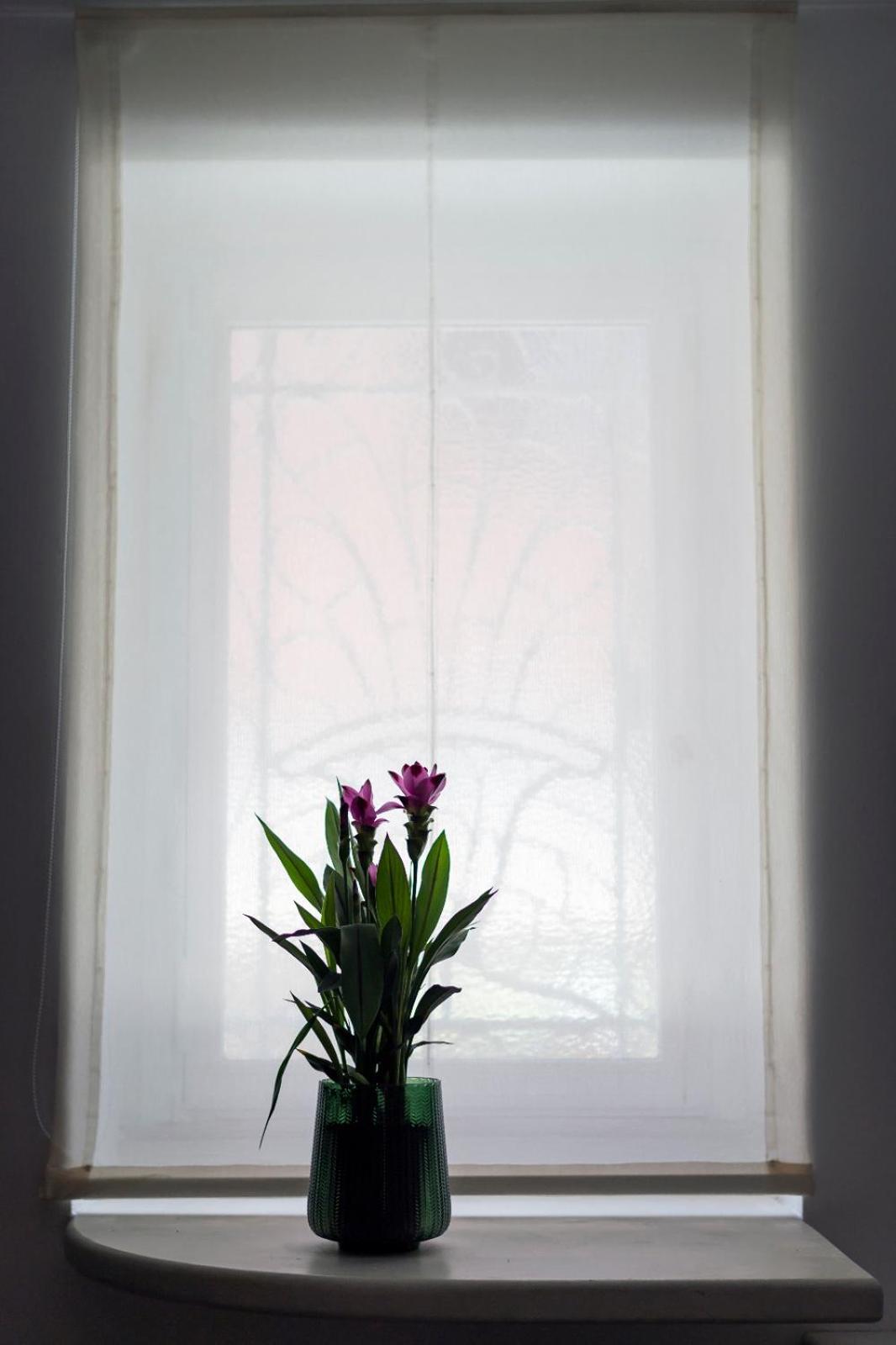 Spanish Steps 3 Bedrooms Cozy,Elegant and central