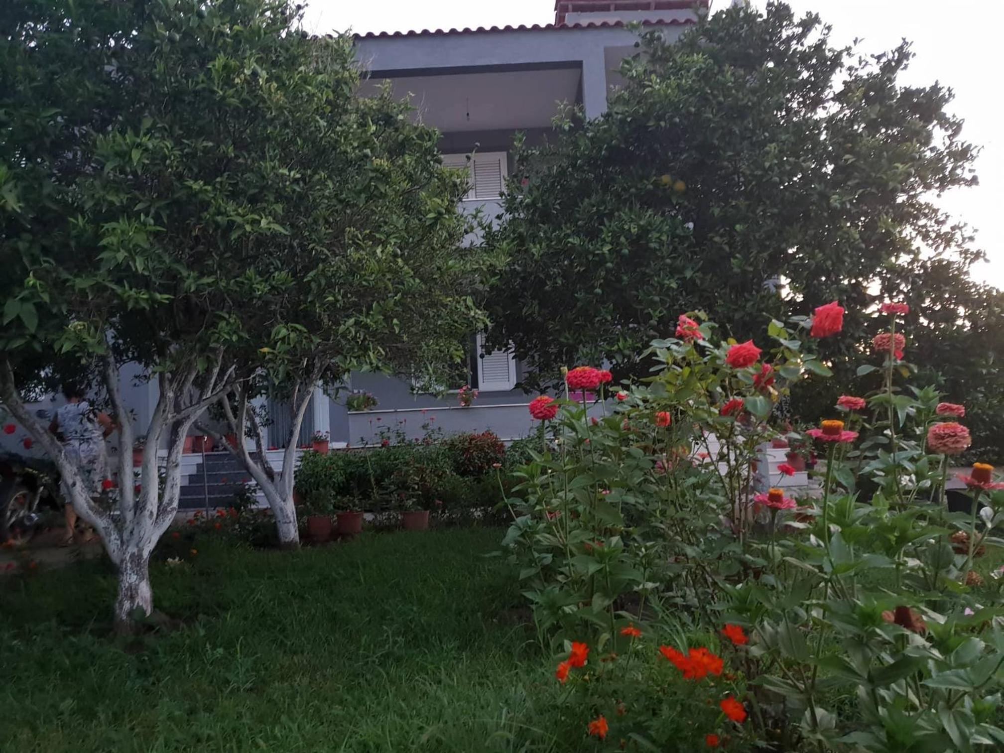 Guesthouse Anila