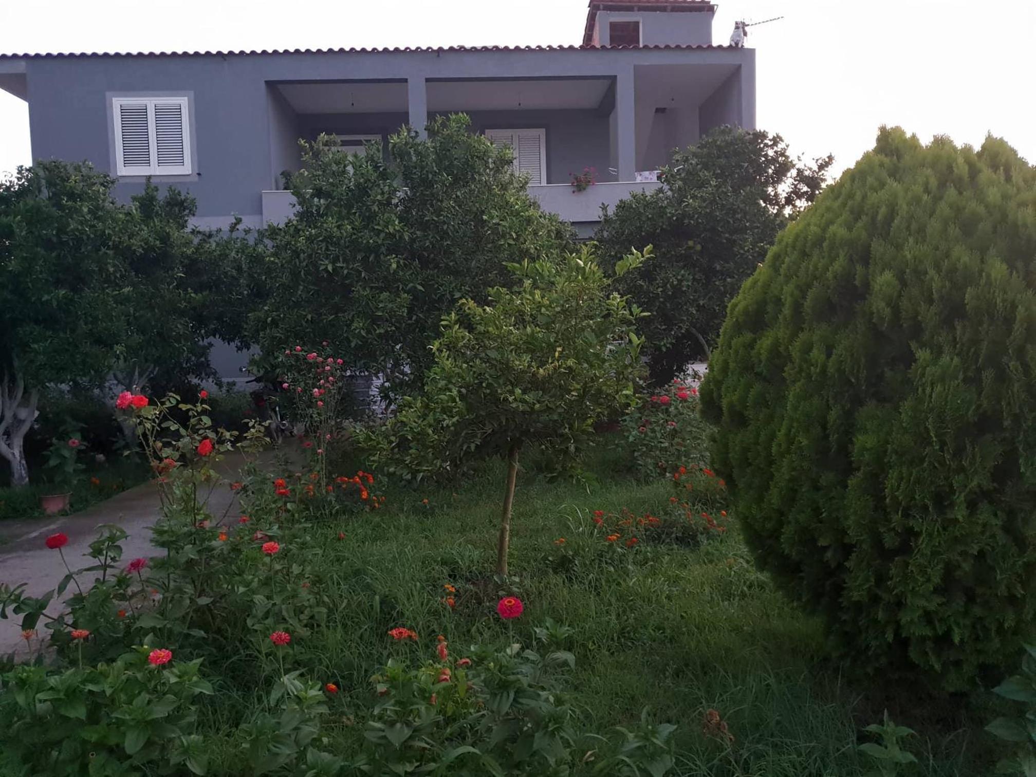 Guesthouse Anila