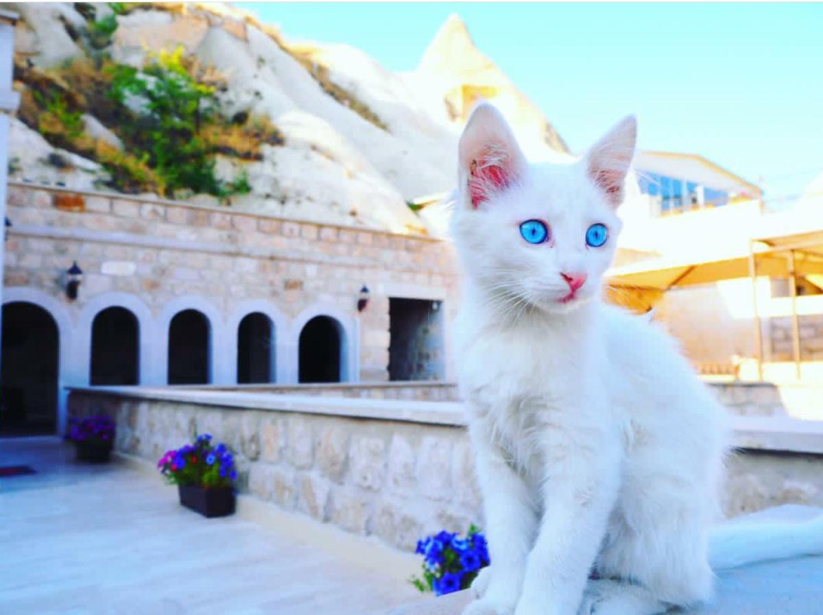 Guzide Cave Hotel - Image 177