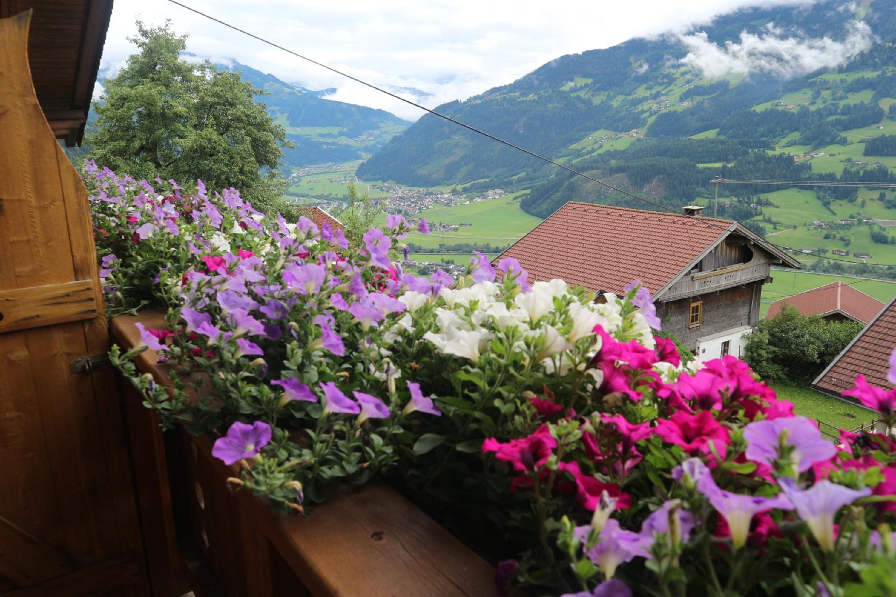 Photo 43