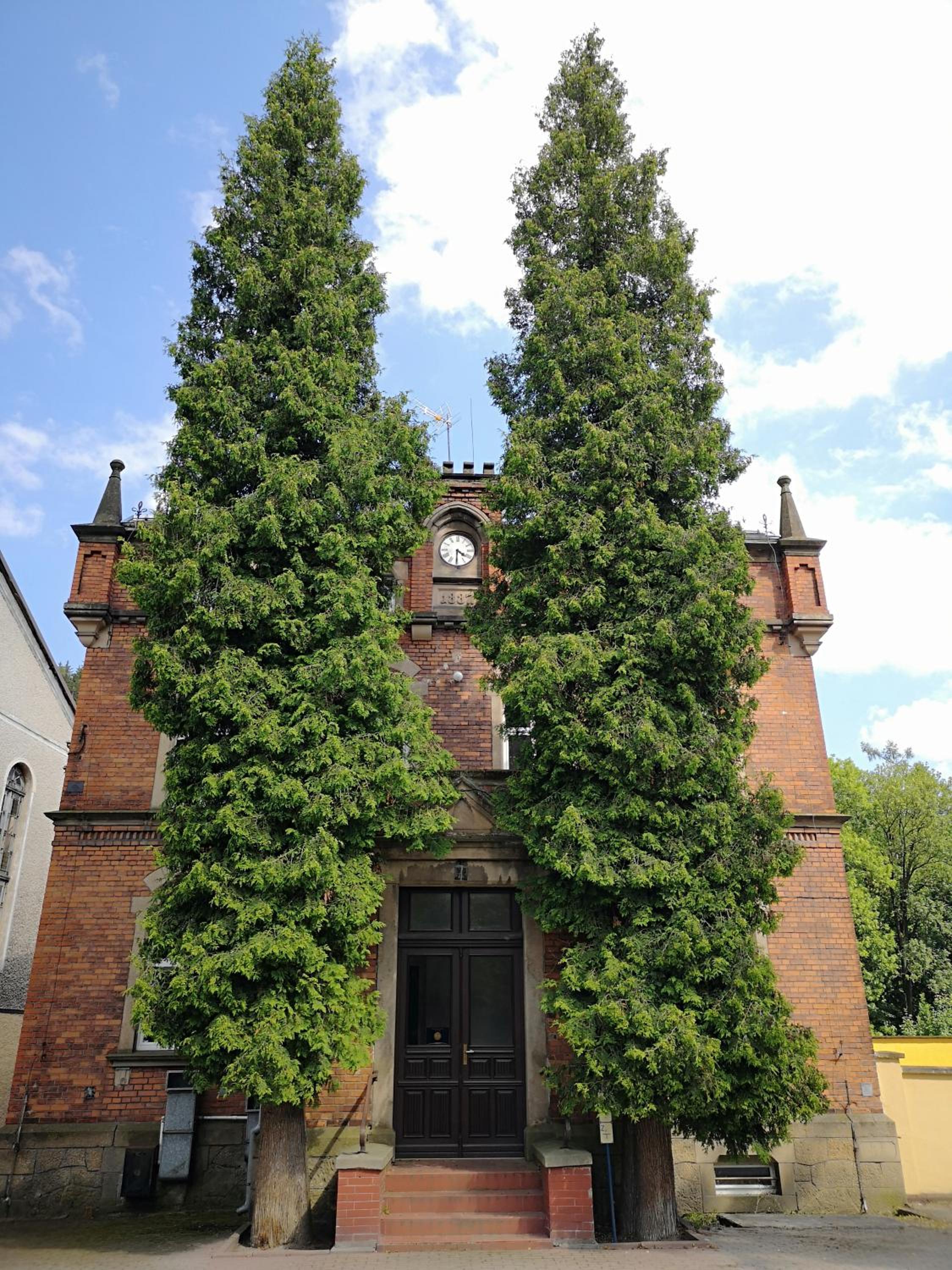 Photo 31