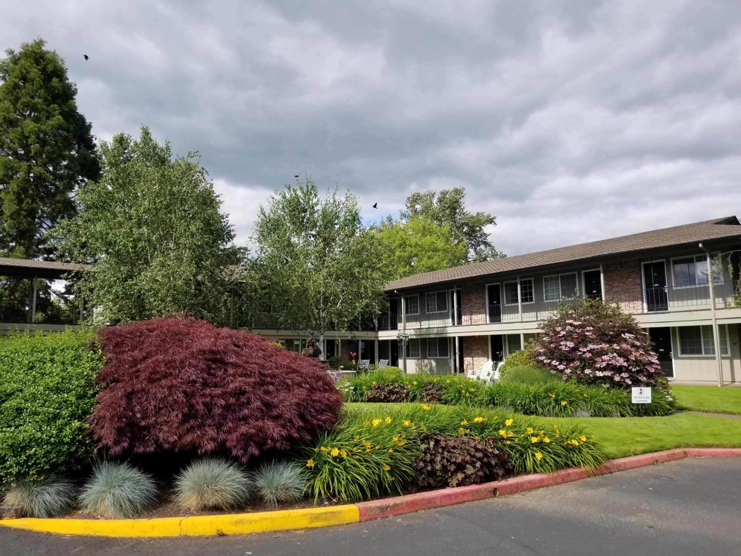 Village Inn - Image 2
