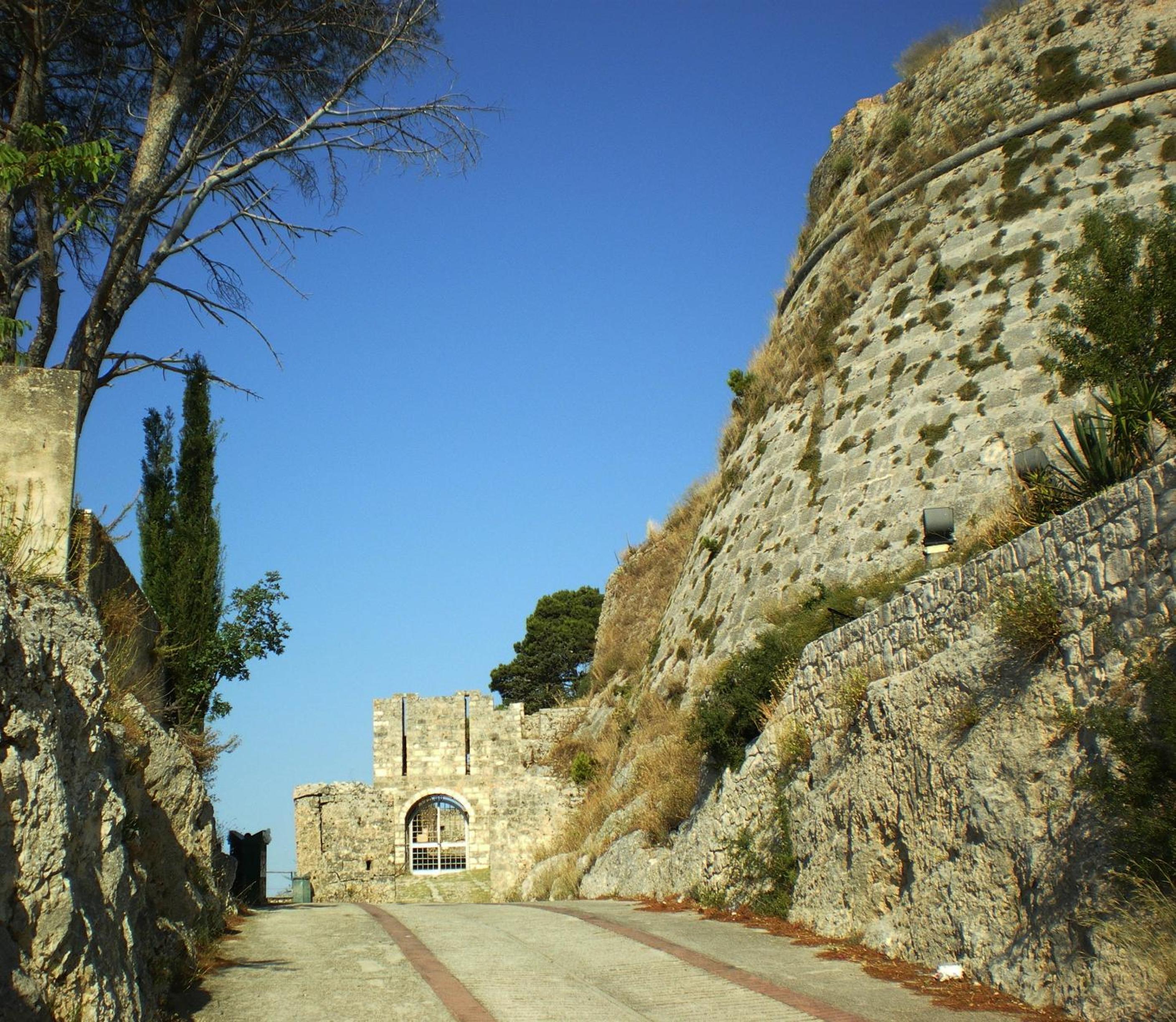 Photo 45