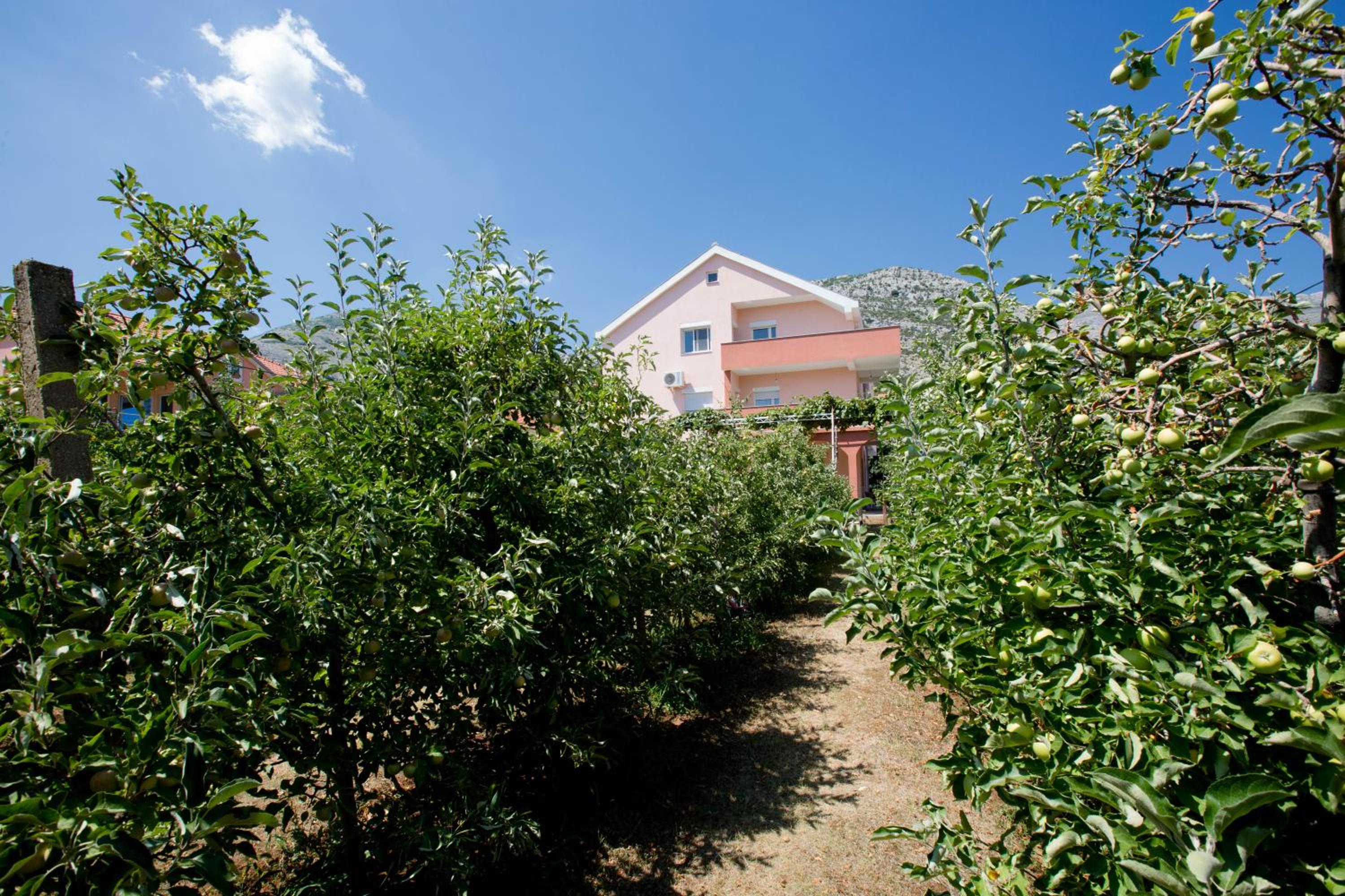 Apartmani Slađo