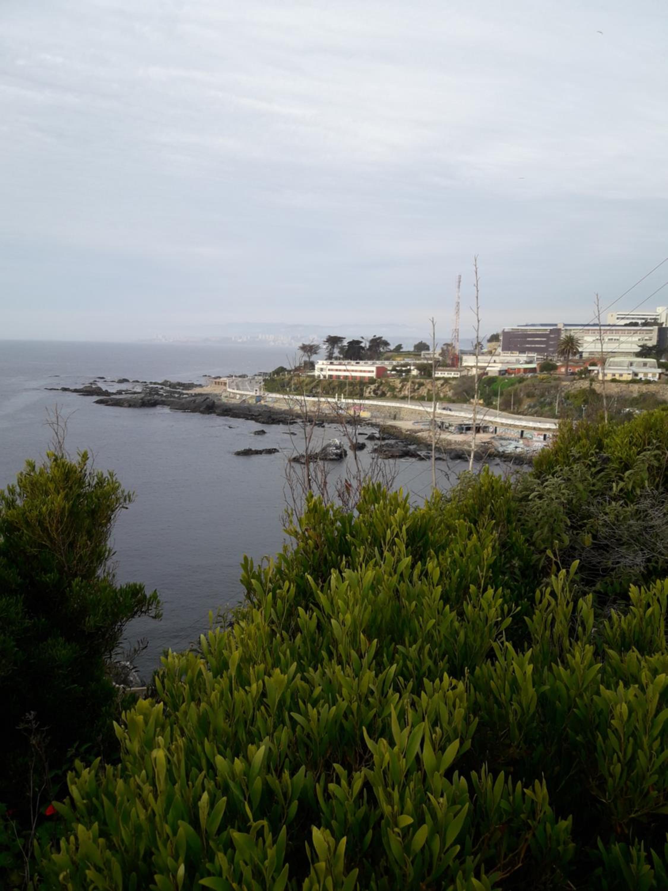 Photo 46