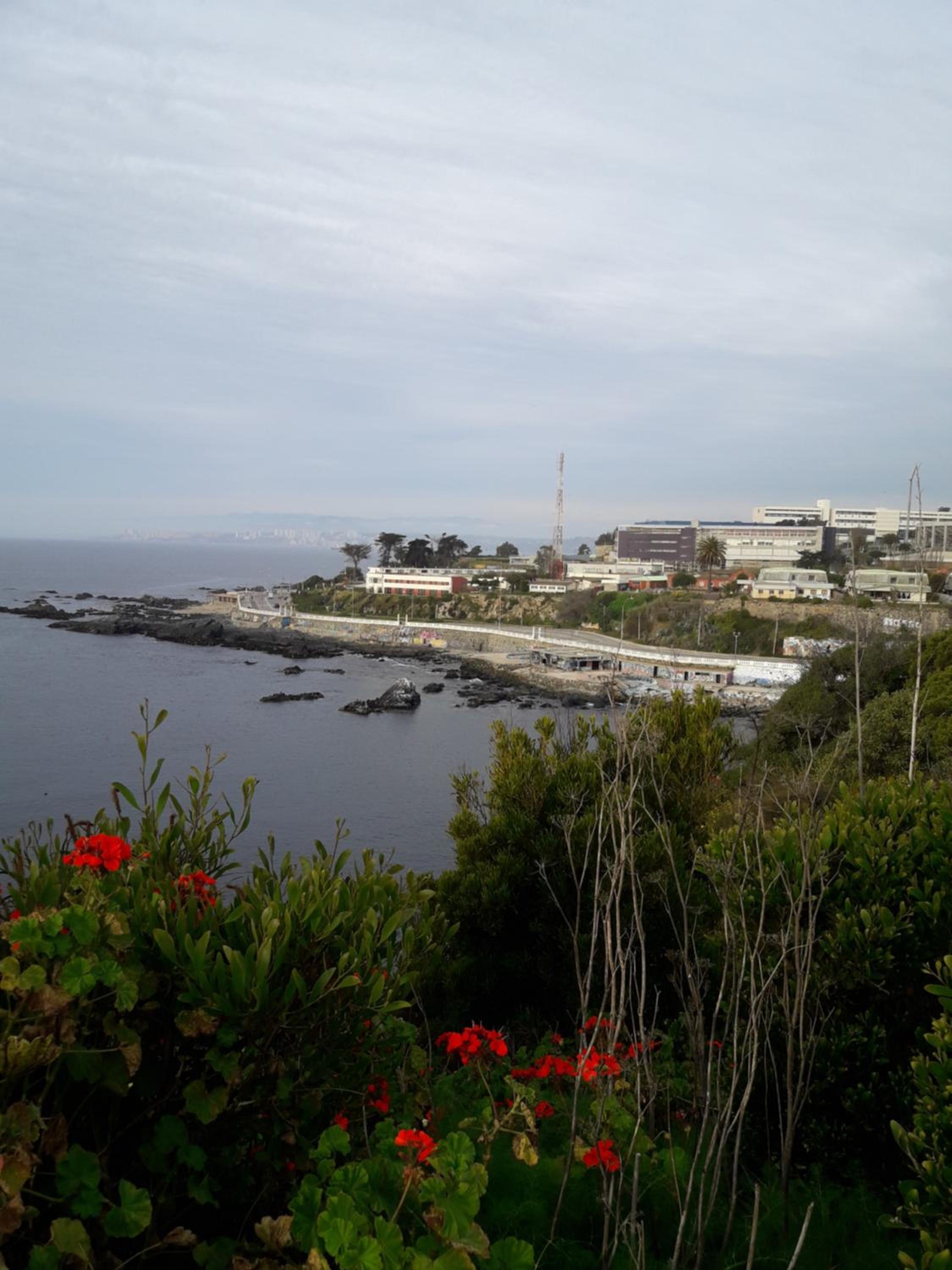 Photo 43