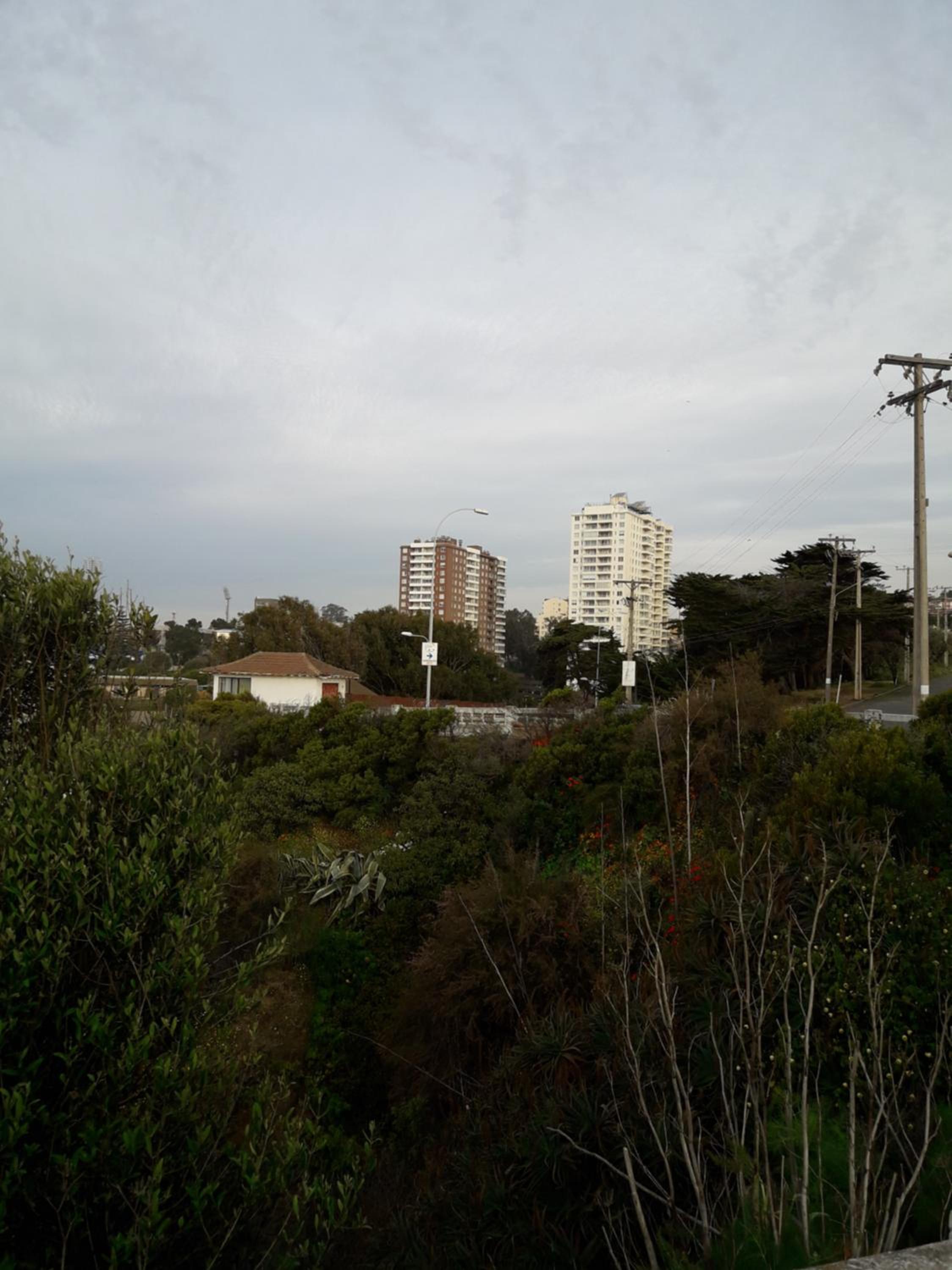 Photo 37