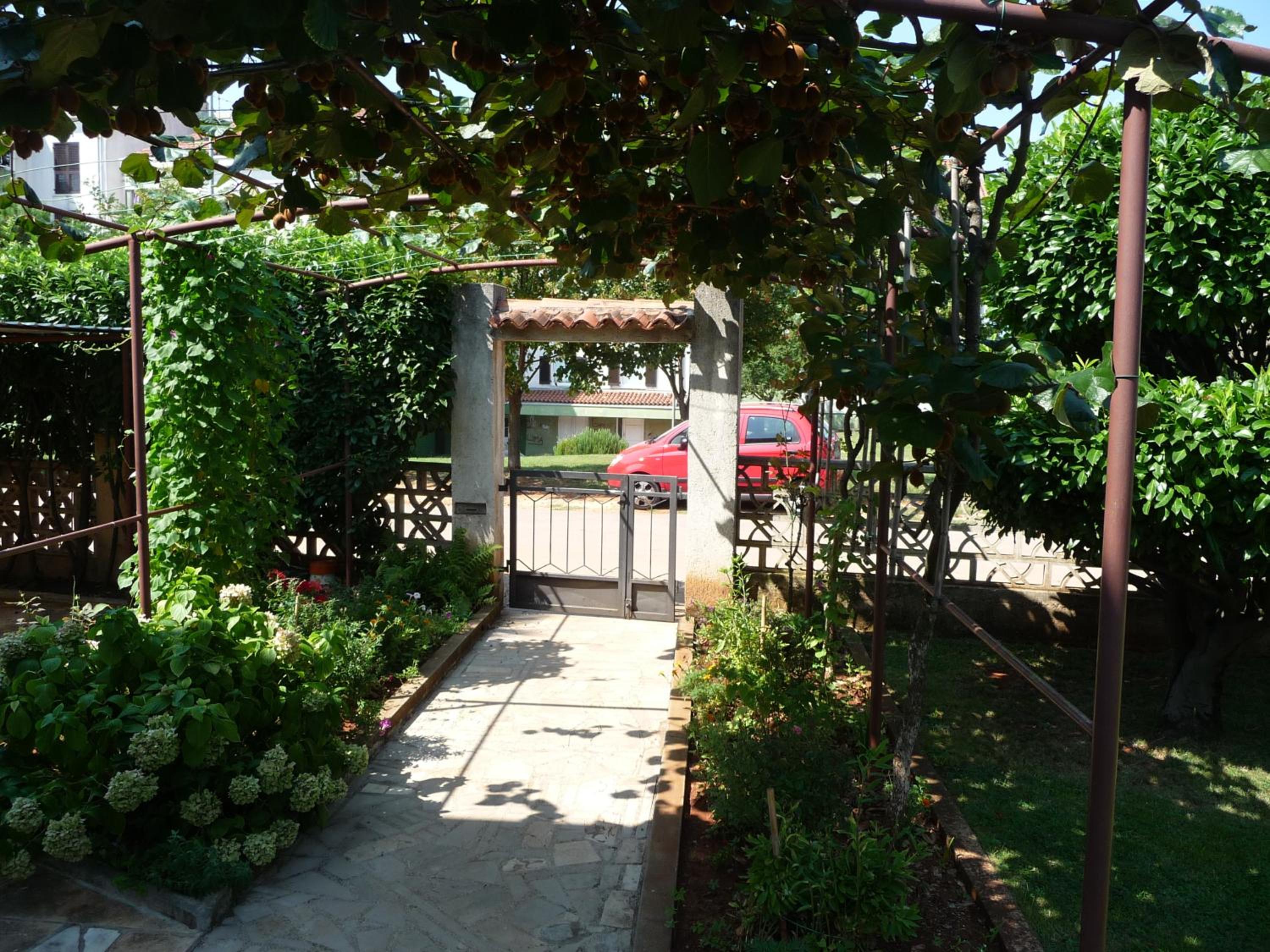 Photo 30