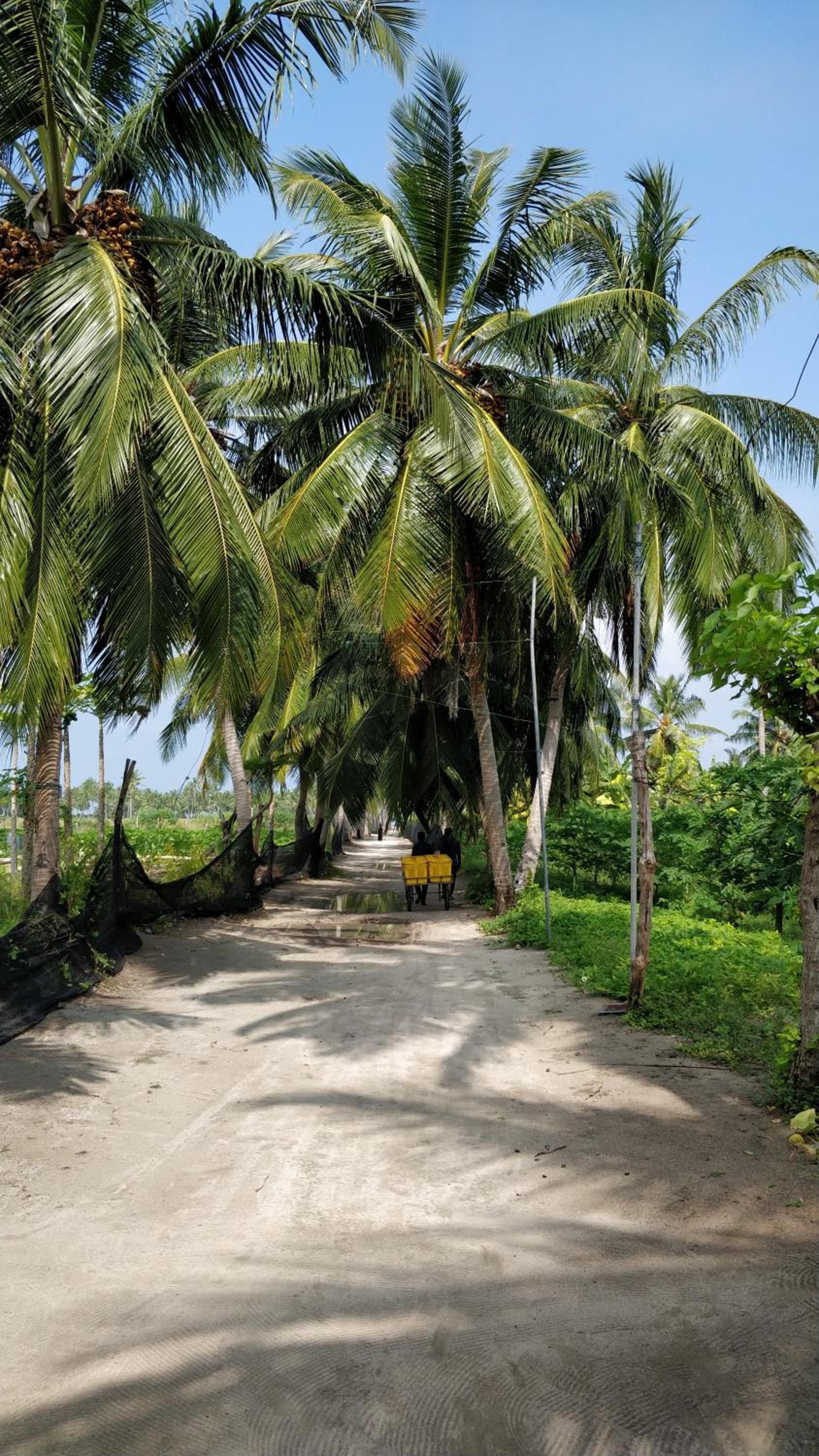 Athiriveli