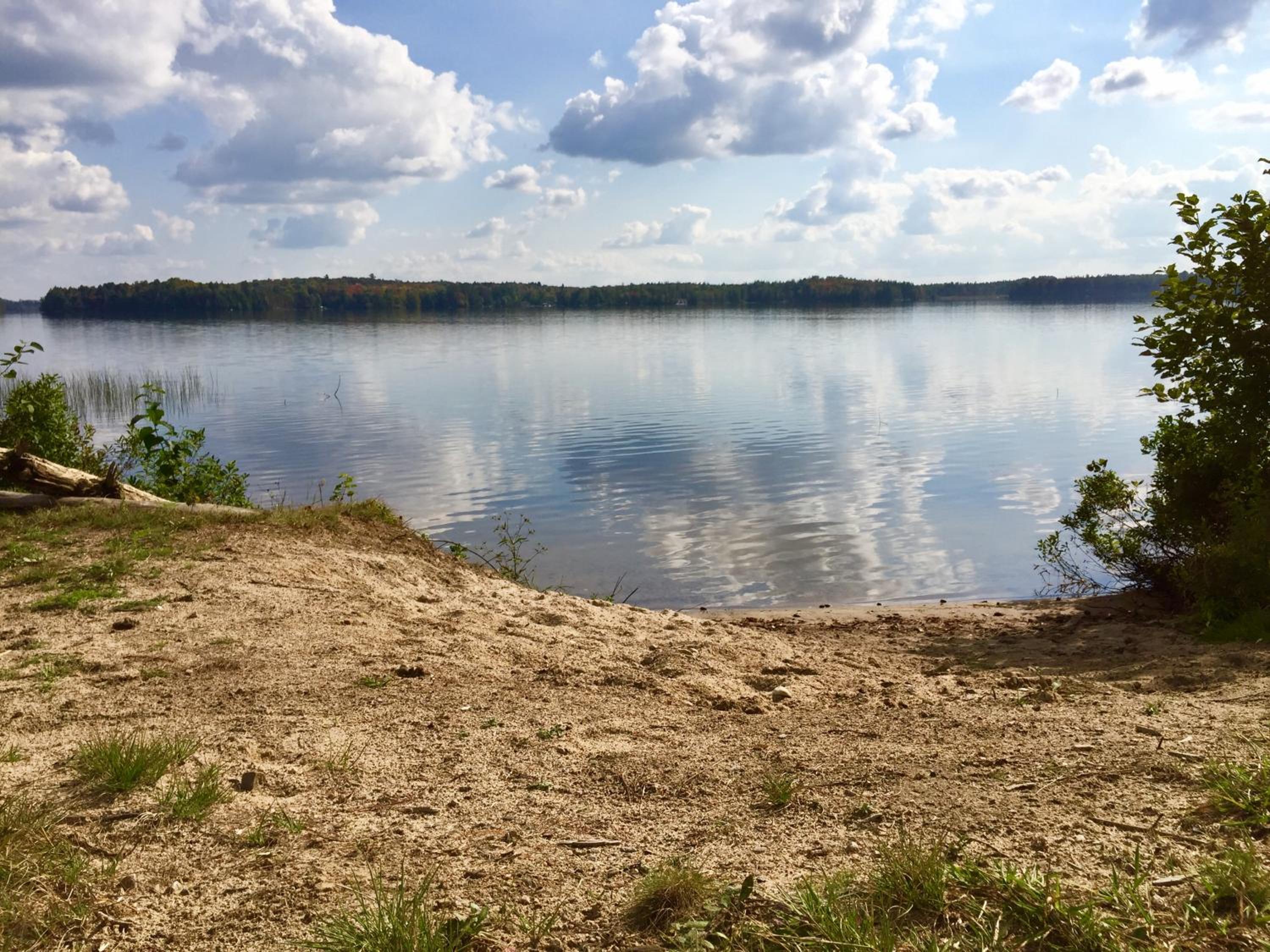 Shores of Deer Lake
