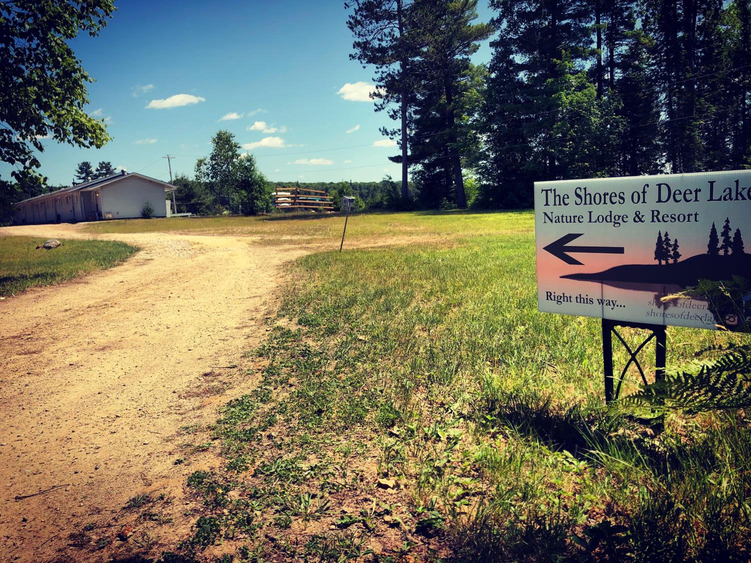 Shores of Deer Lake