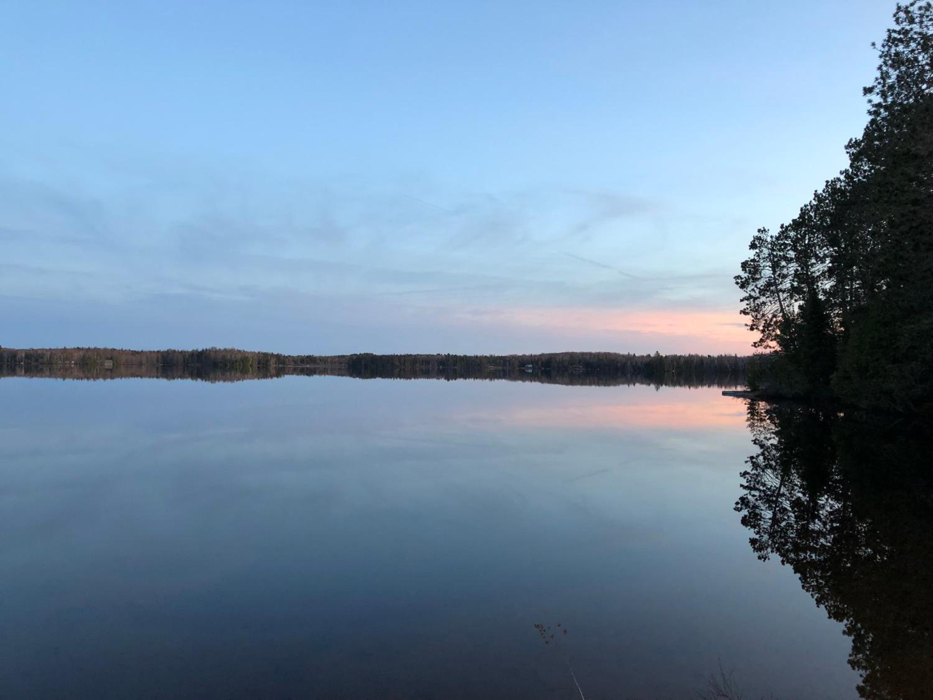 Shores of Deer Lake