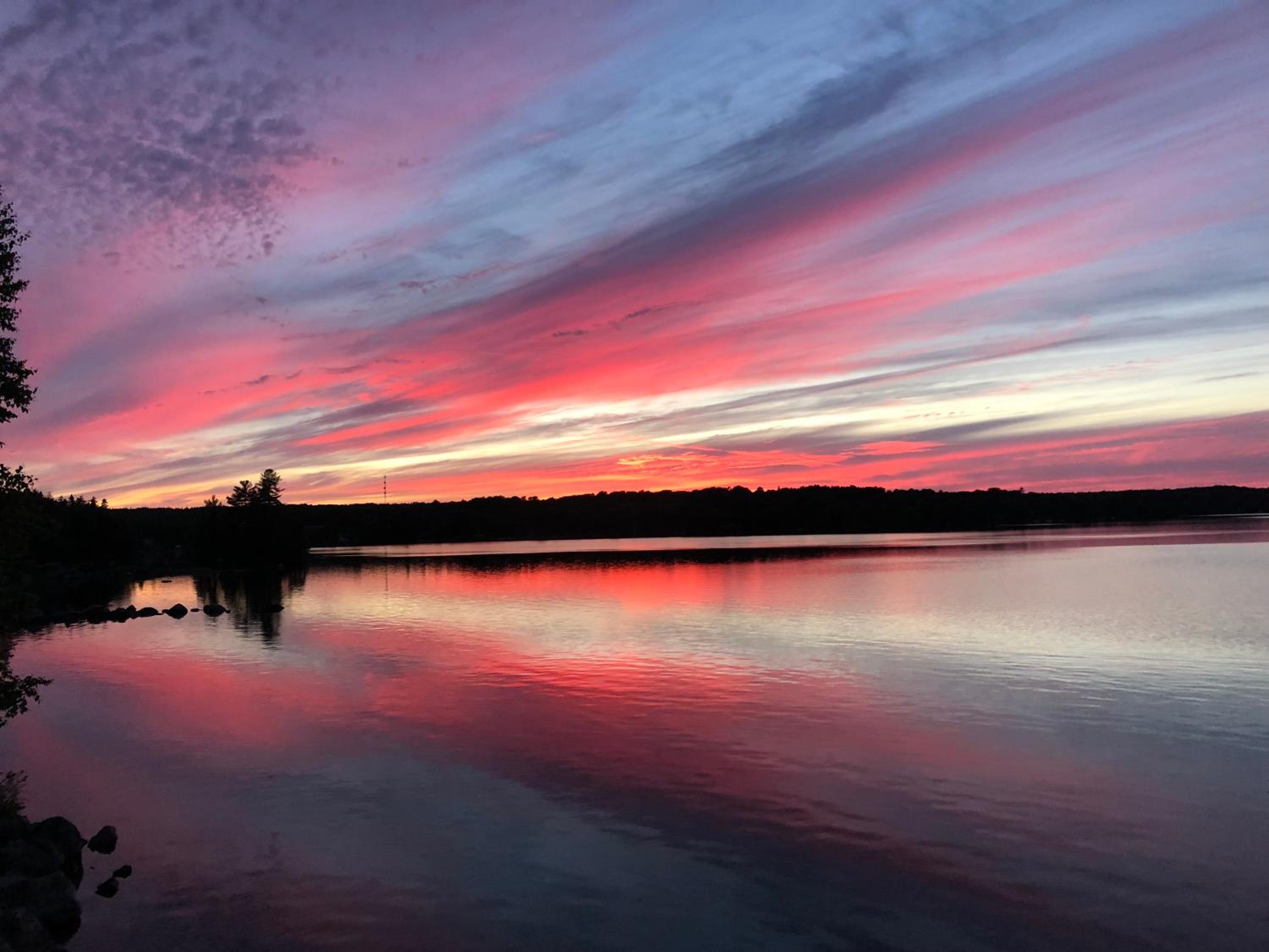 Shores of Deer Lake