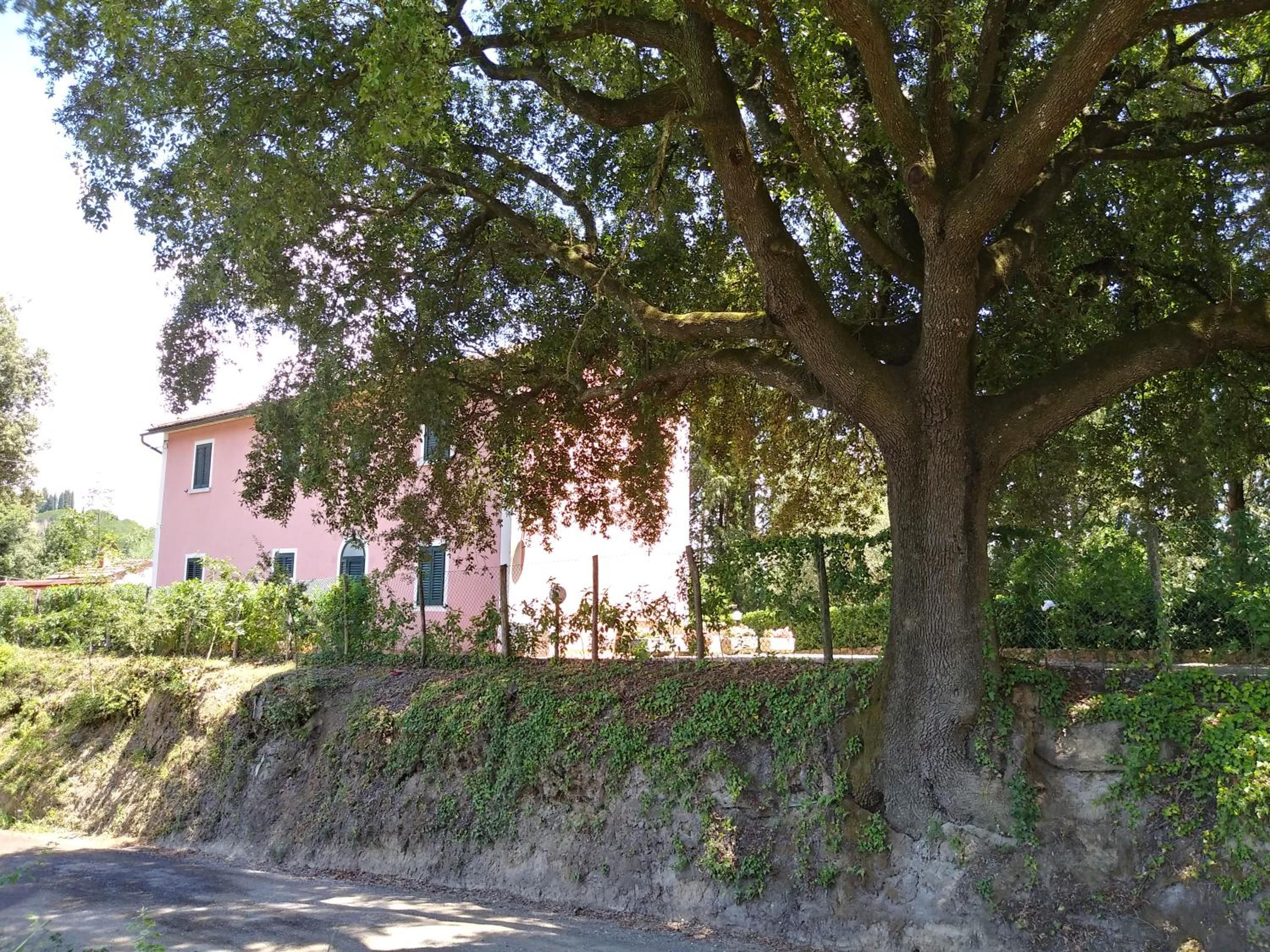 Photo 39