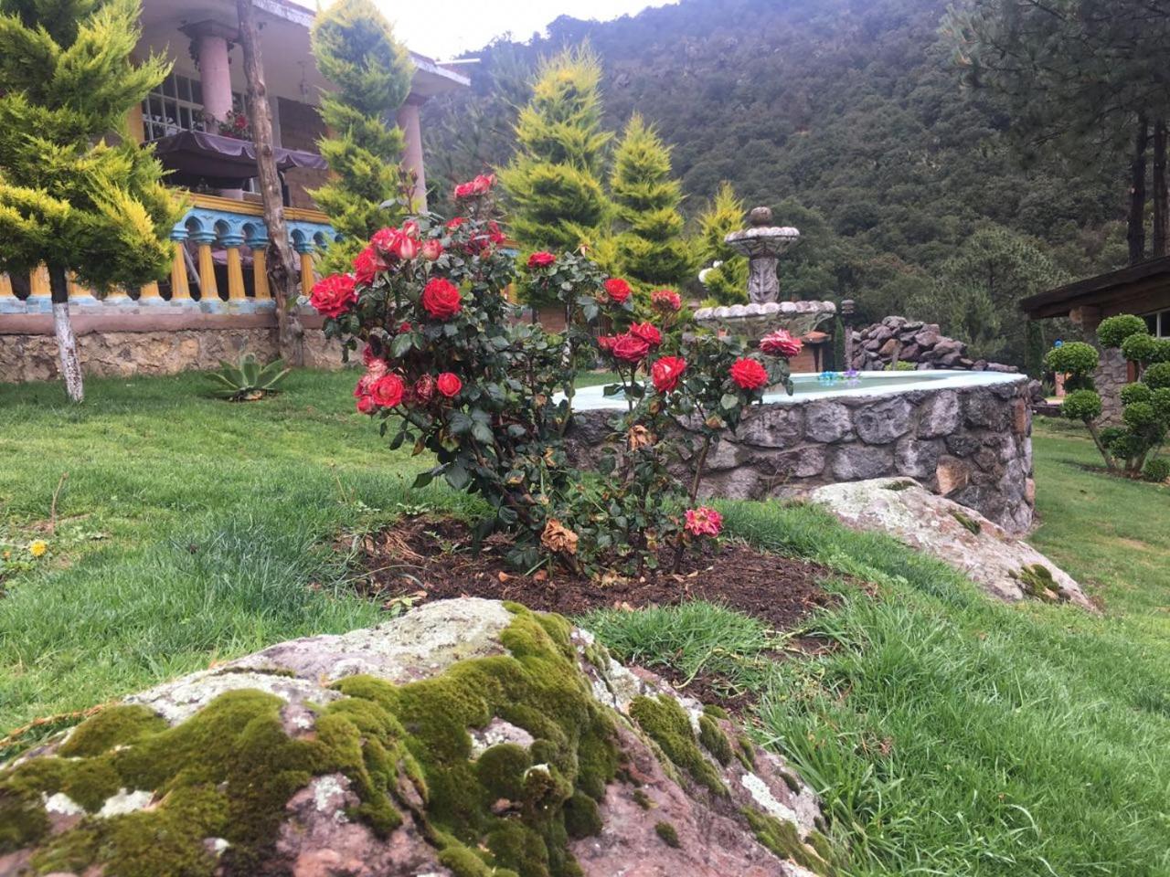 Photo 26