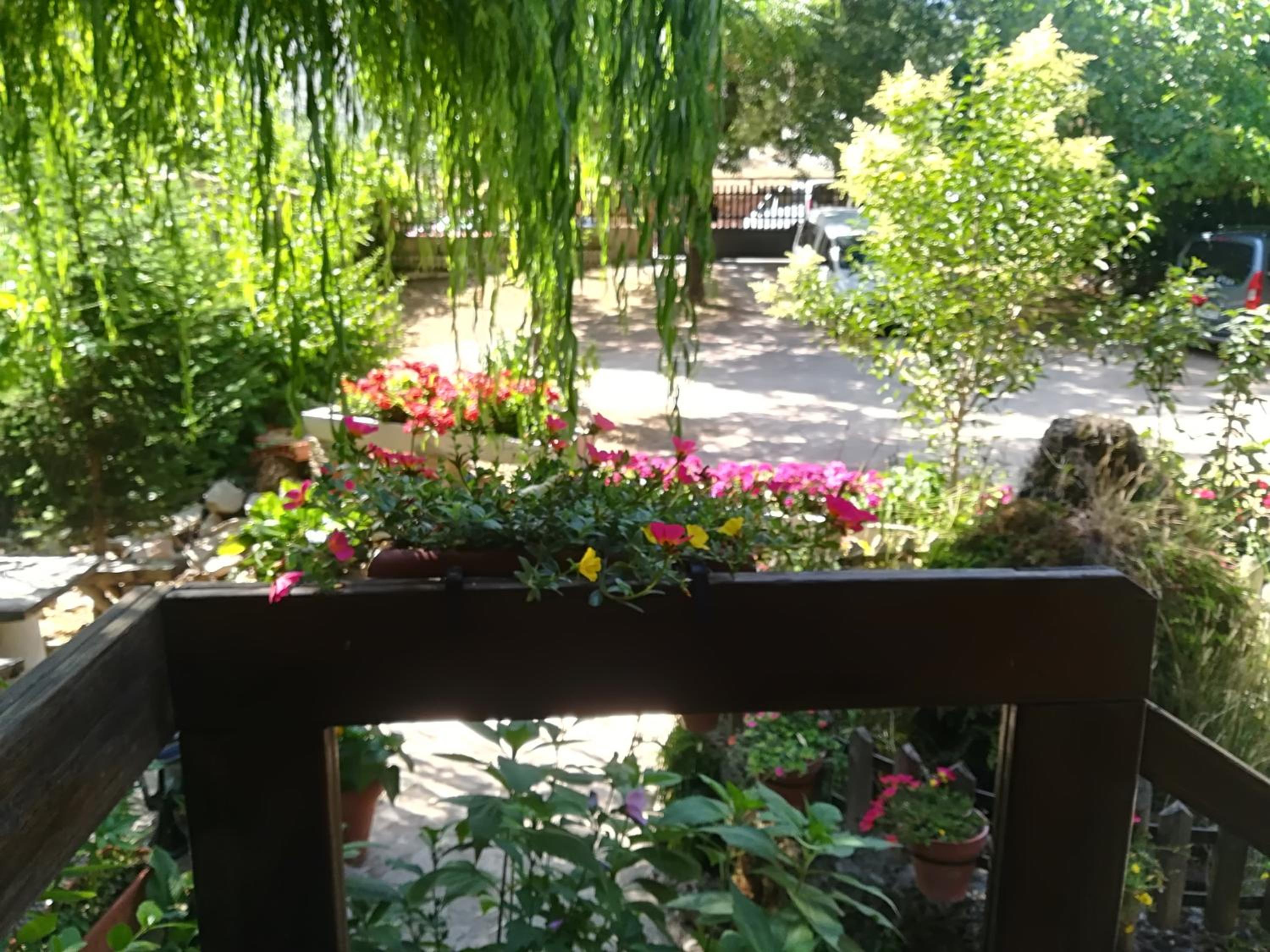 Photo 45
