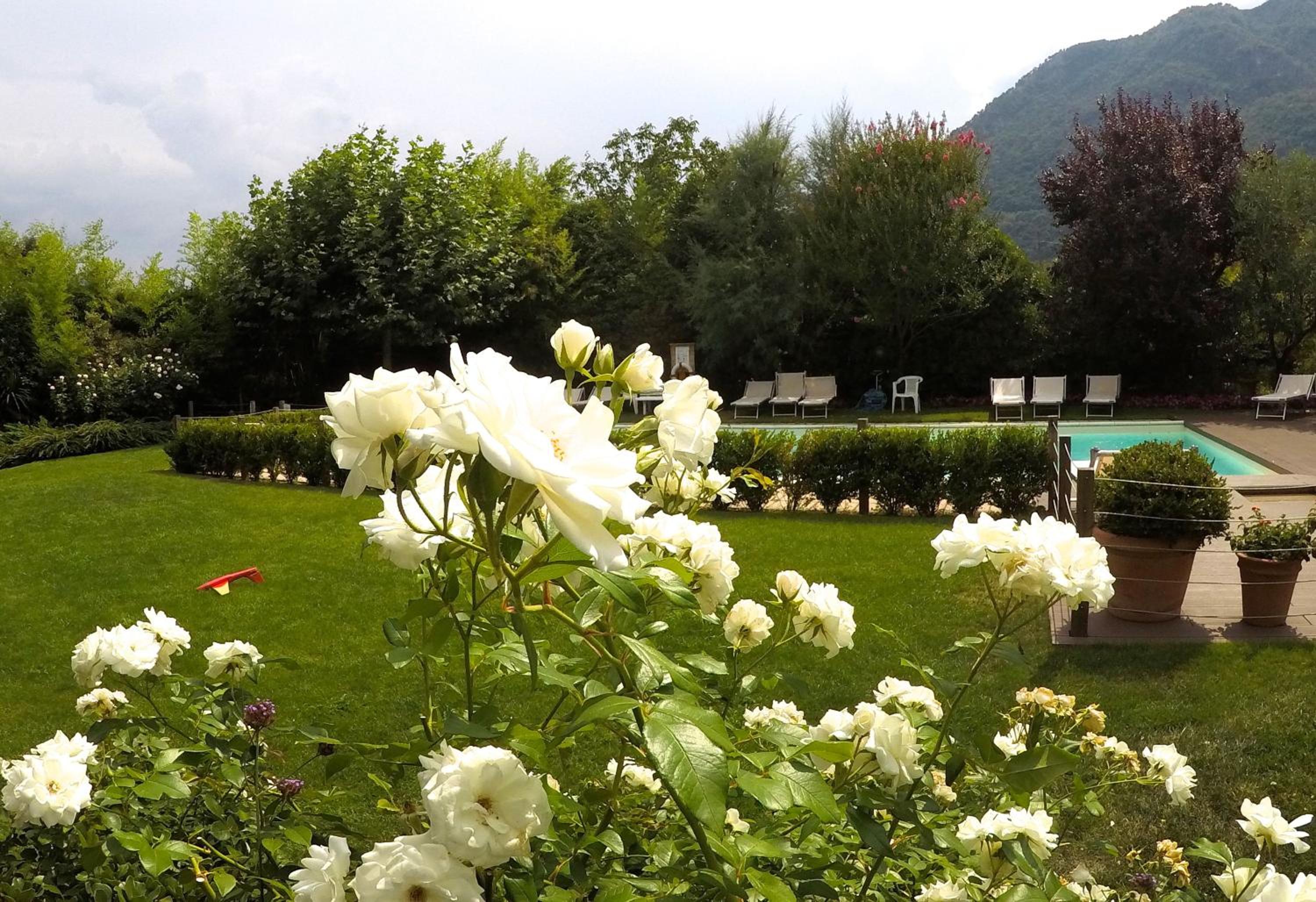 Photo 47