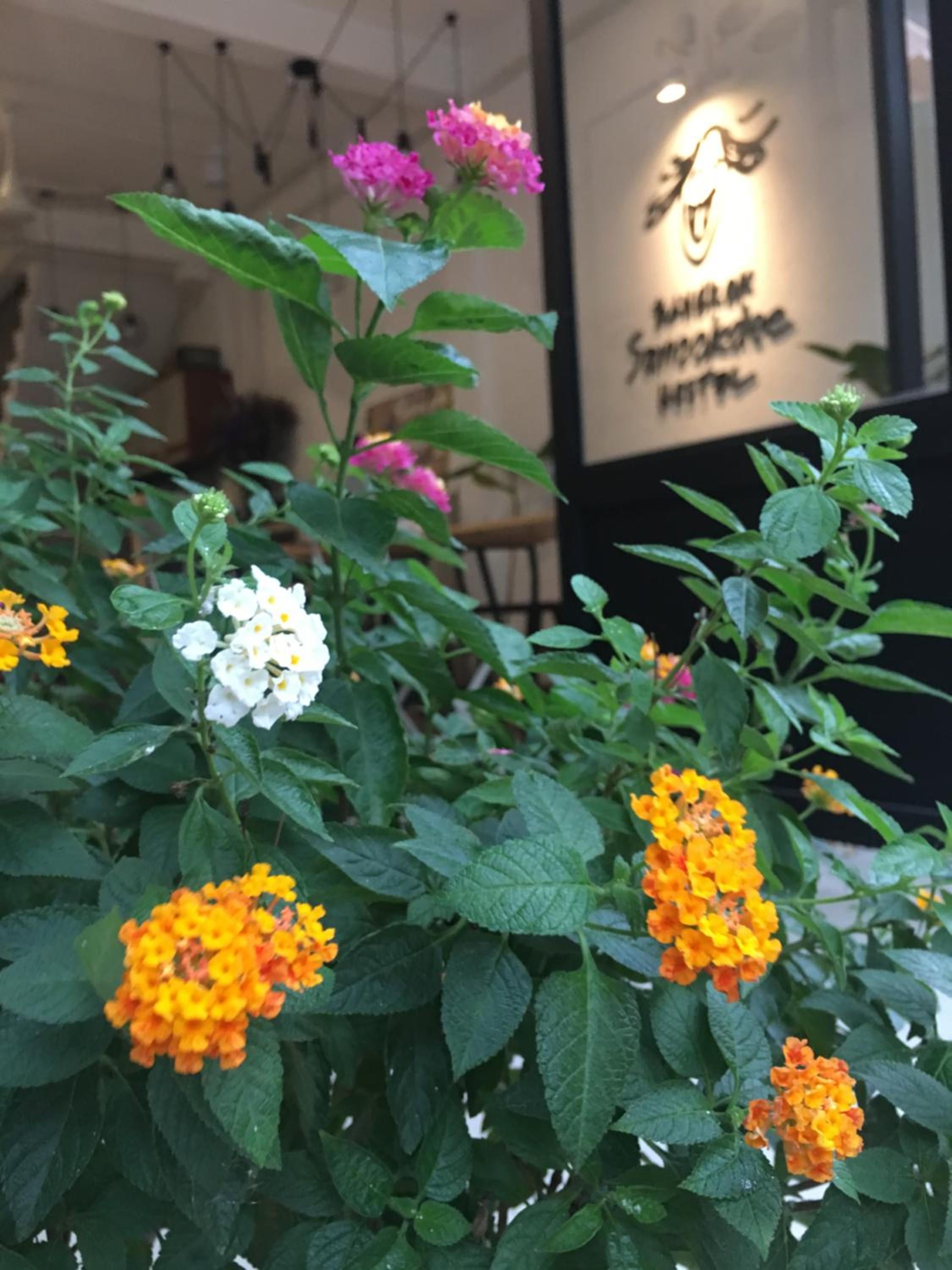 Bangkok Sanookdee Hostel