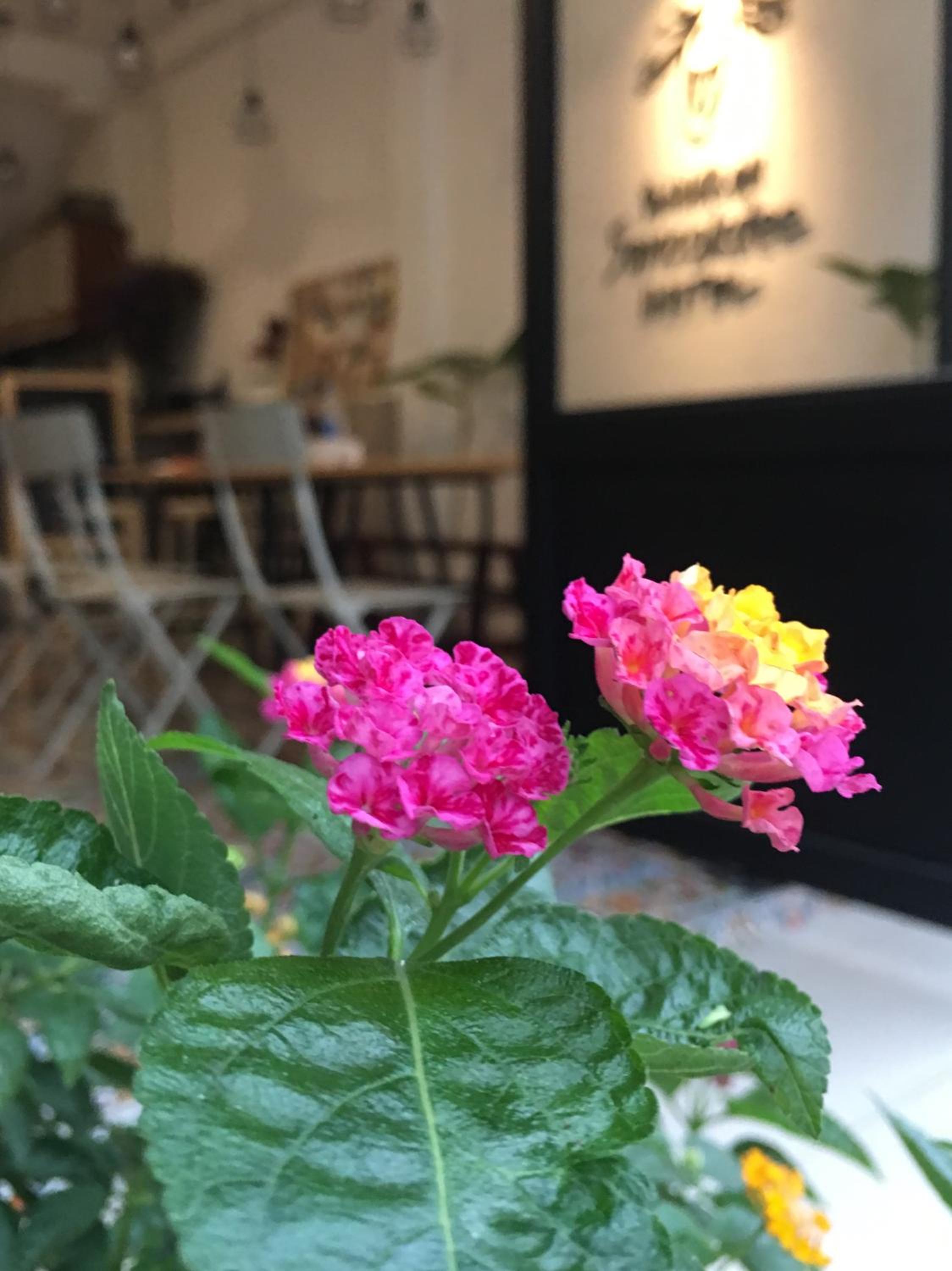 Bangkok Sanookdee Hostel