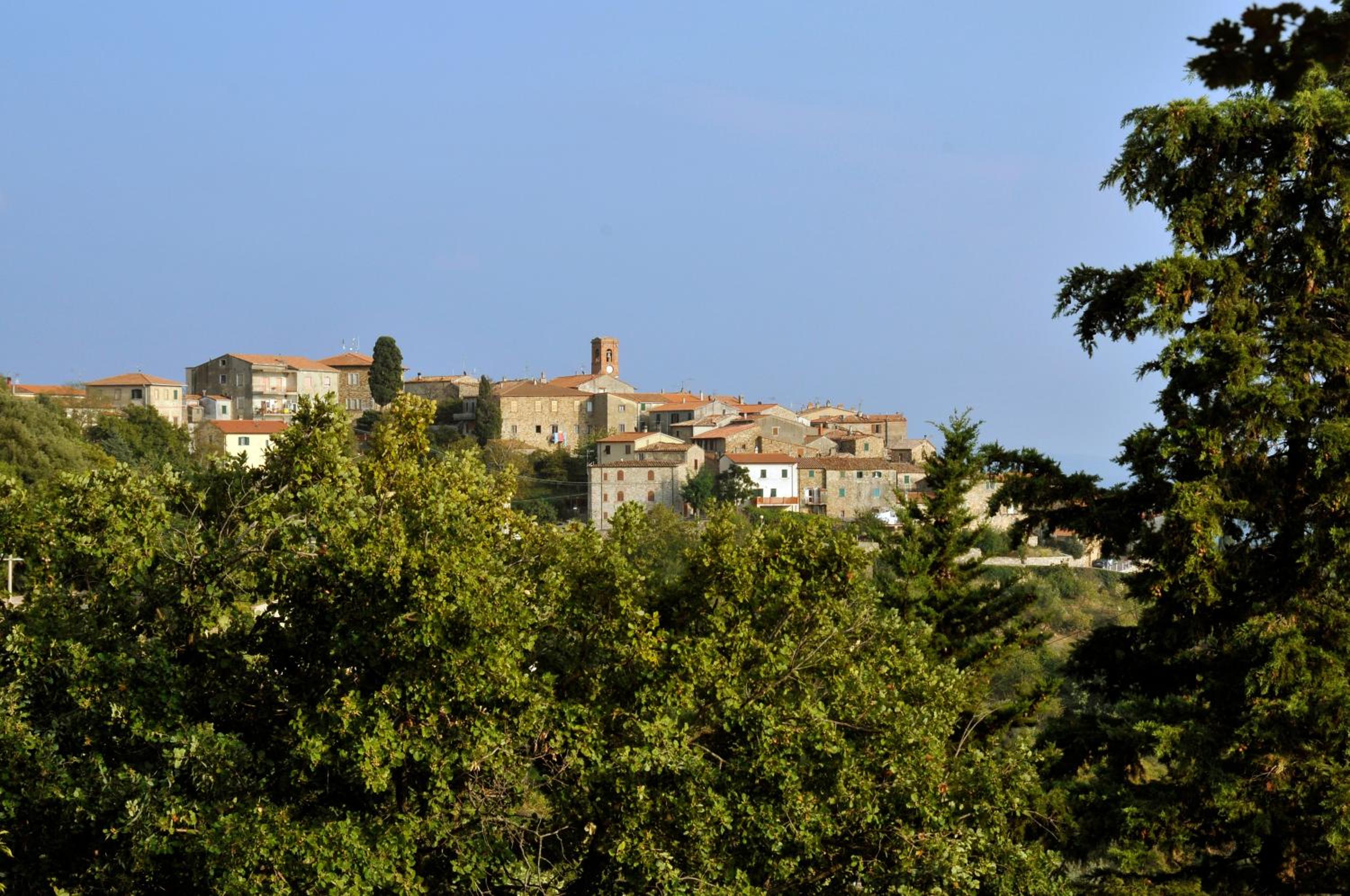 Photo 11