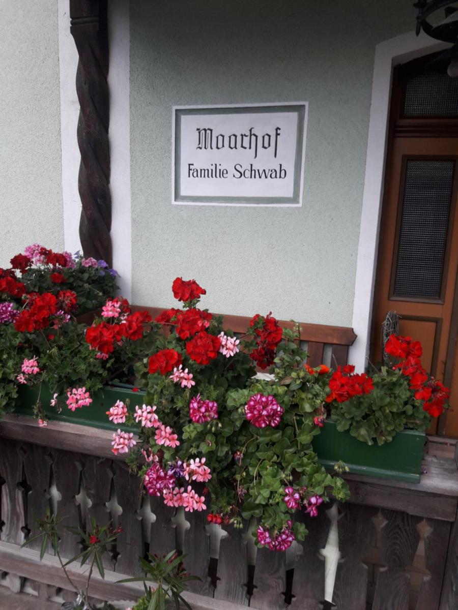 Moarhof